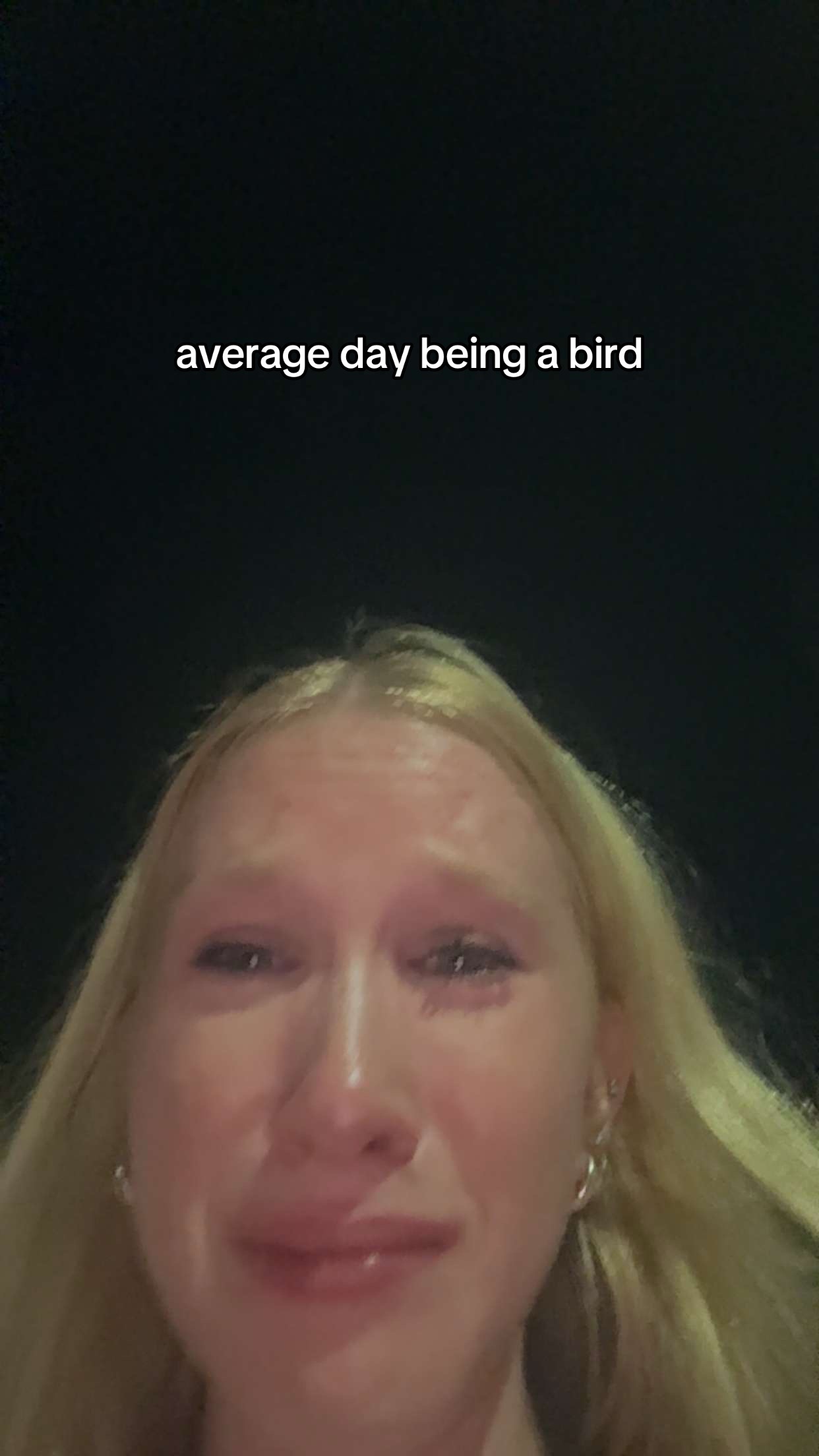 @ken