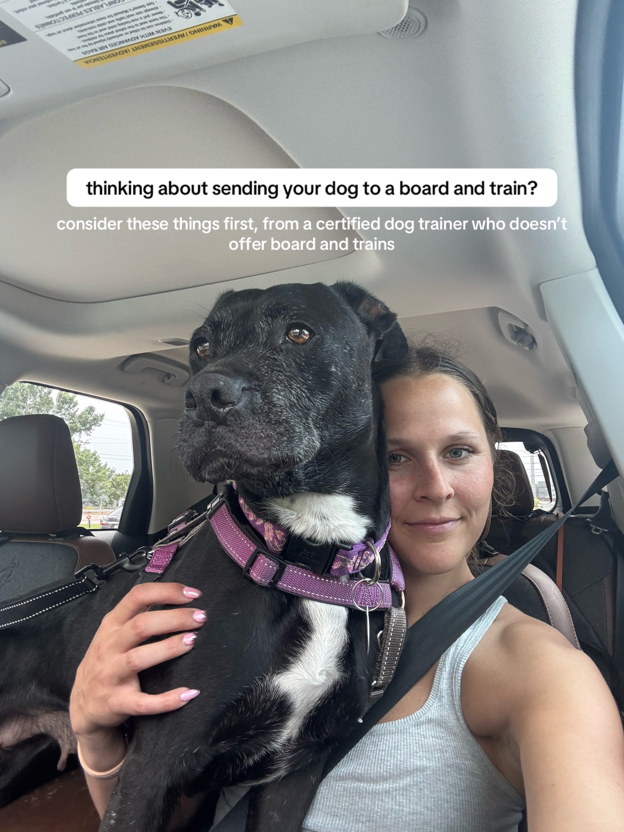 @Abby KPA-CTP | Dog Trainer