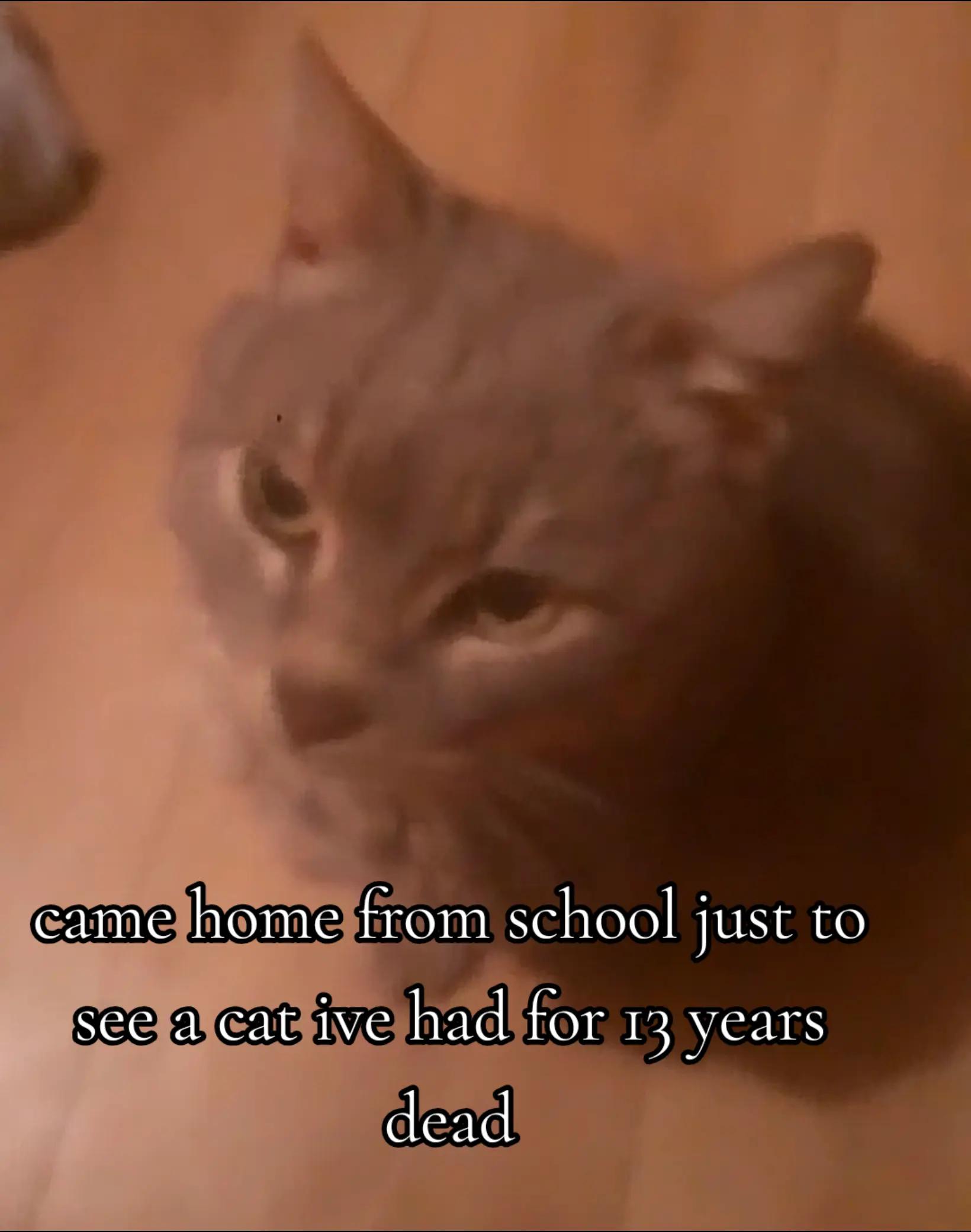 @Lil nightmare