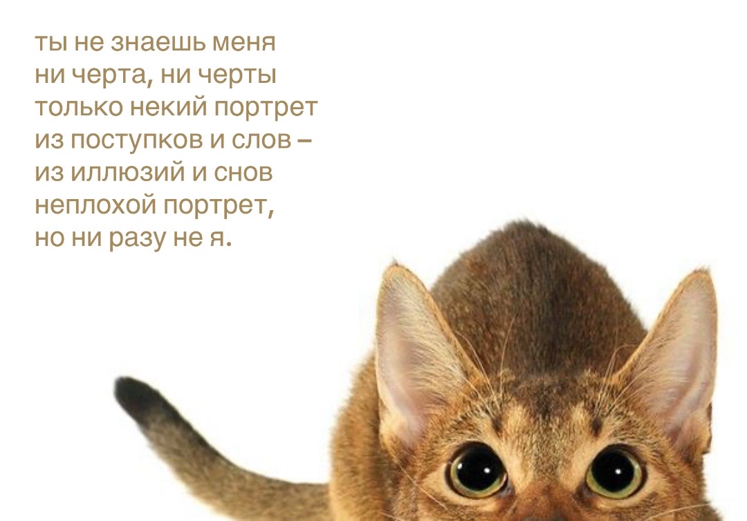 @𝗉𝖺𝗋𝖺𝗇𝗈𝗂𝖽 𝗌𝗁𝖺𝗆𝖾