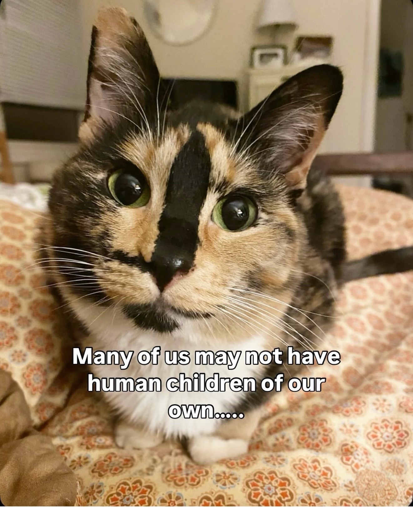 @SnickersTheSmilingCat