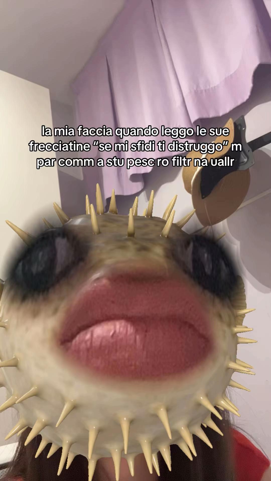 @๐๐๐๐๐๐๐ช๏ธ