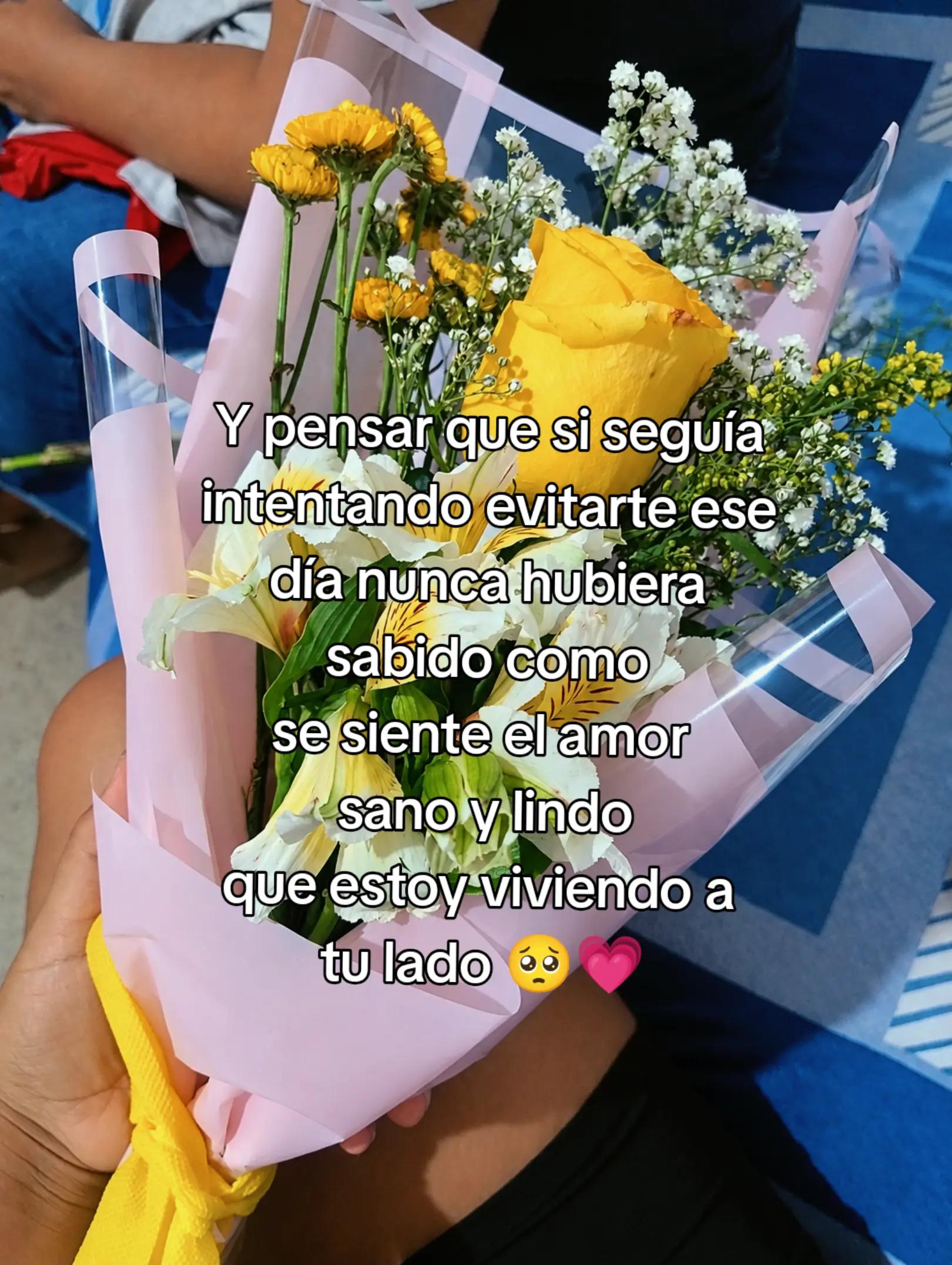 @𝐸𝑚𝑦 𝑅𝑢𝑏𝑖𝑜✨💗.