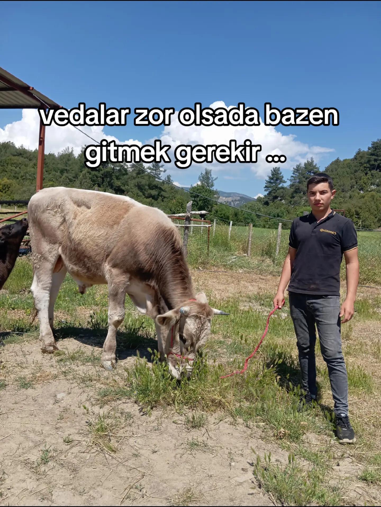 @Acıpayam'lı