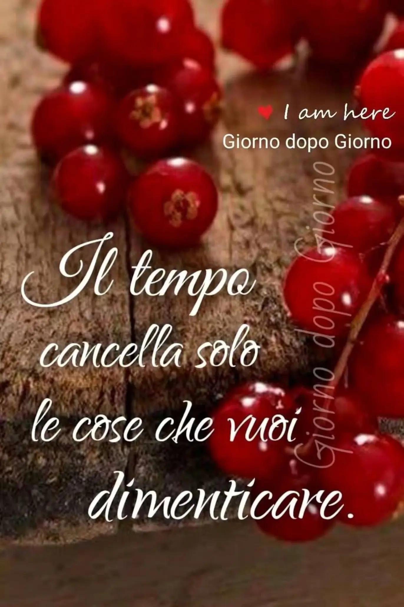 @caterinanicastro31