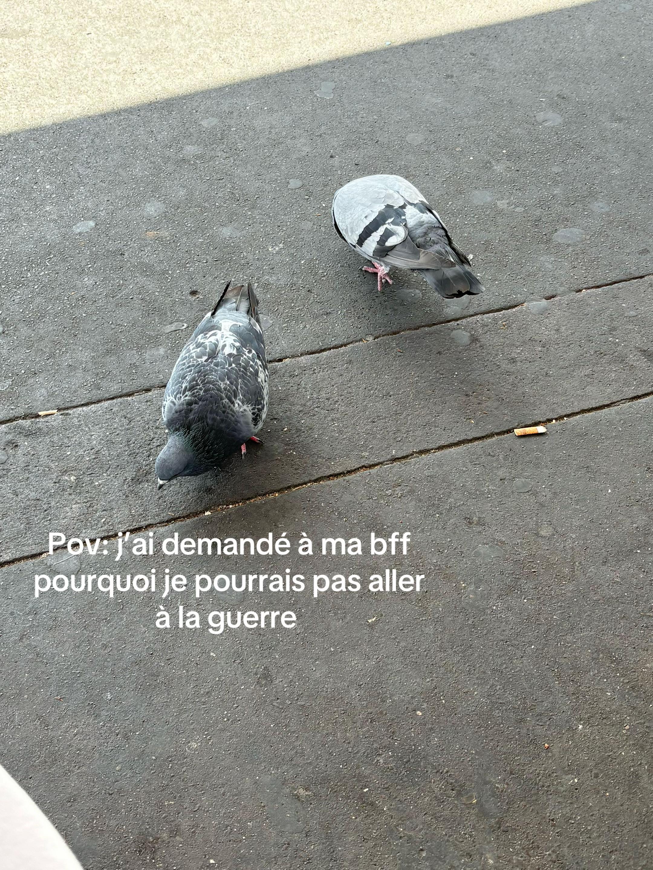 @★★★★☆
