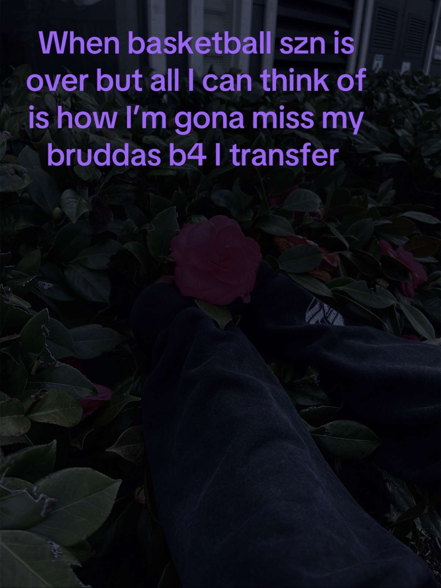 @Unknown🤿