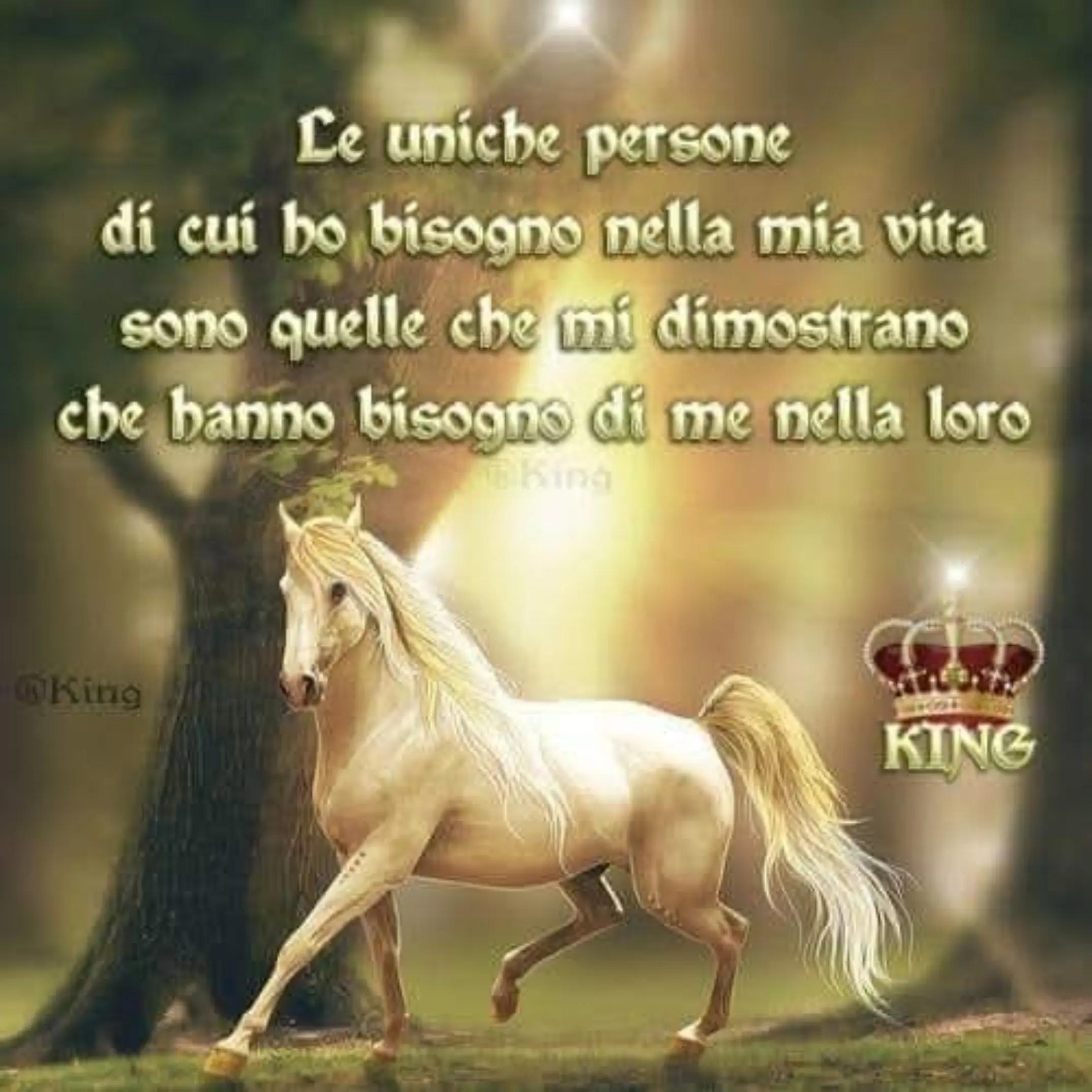 @massimopaniccia58