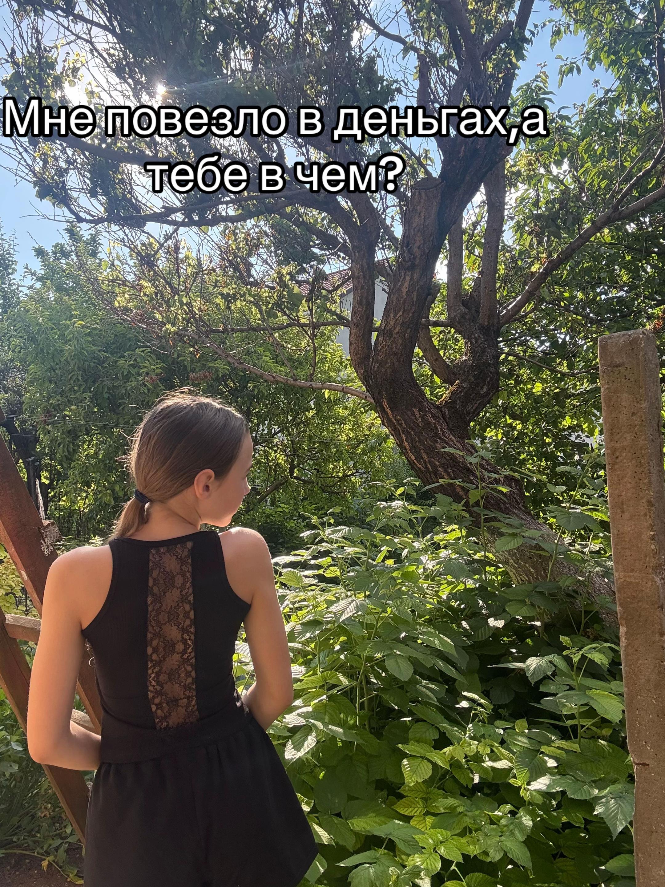 @Zlatiks🪽