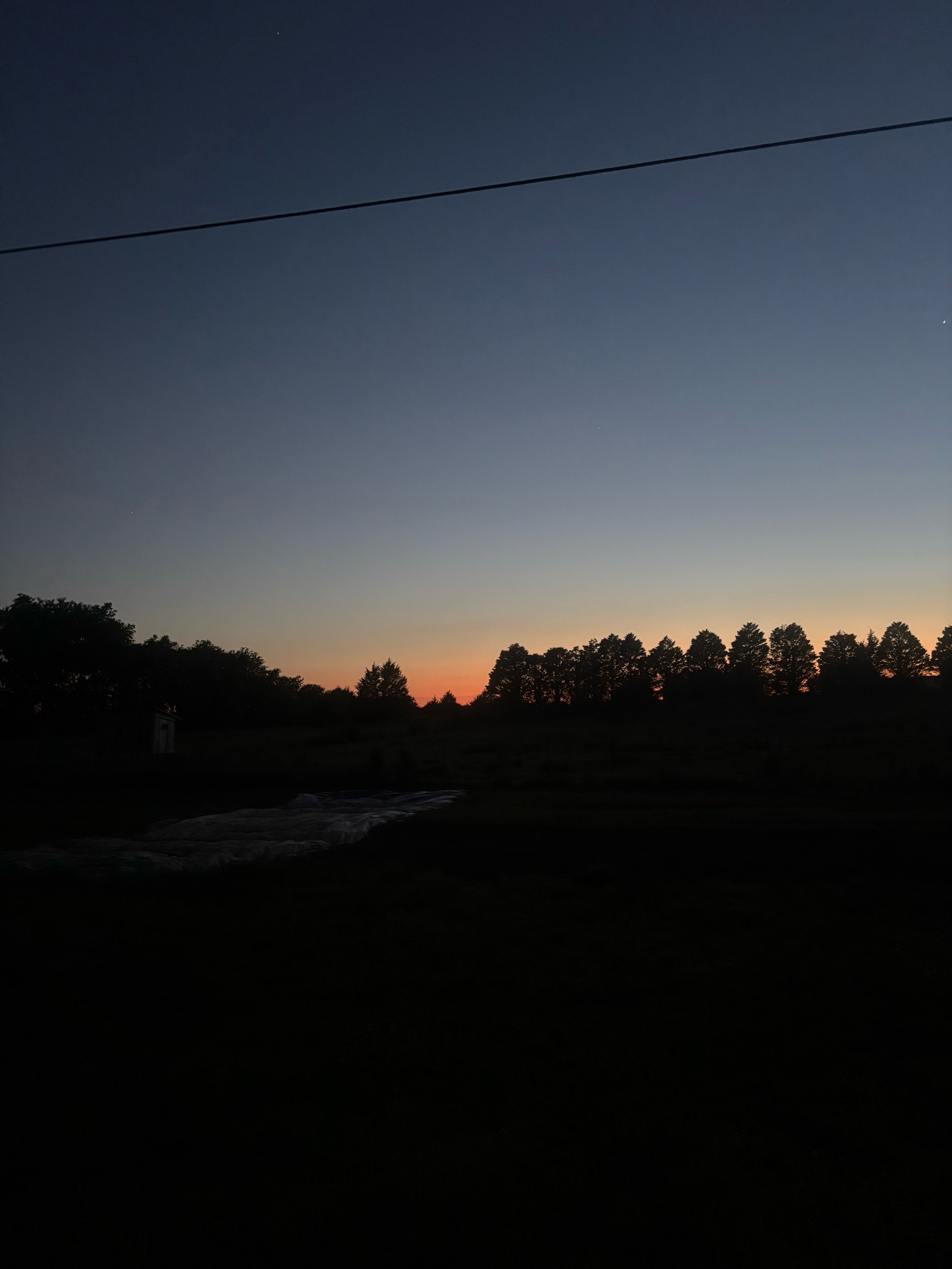 @C&B Chaos Farms