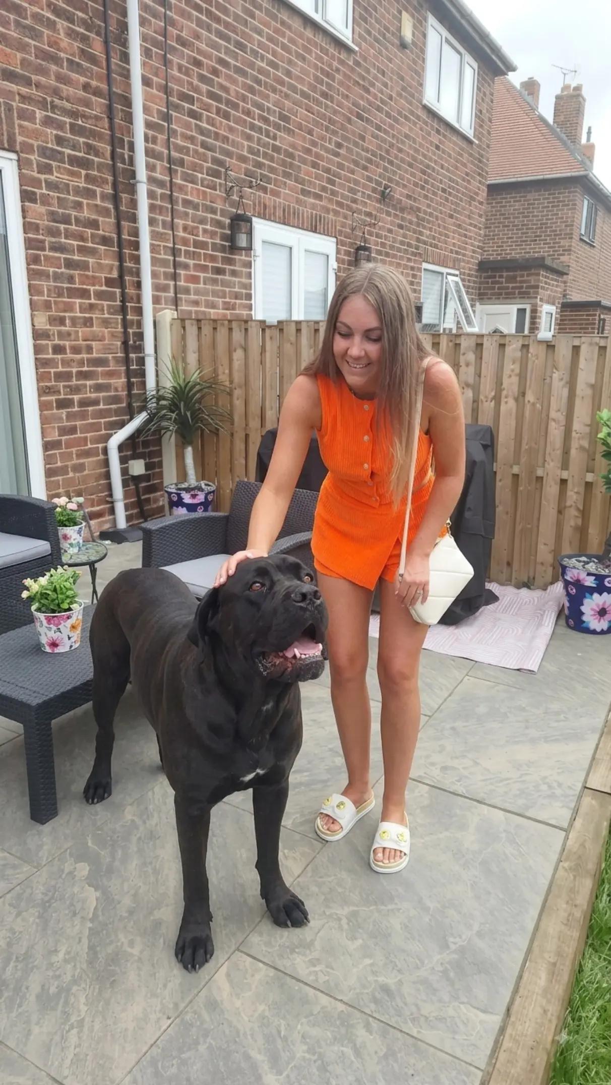 @Canecorspuppy