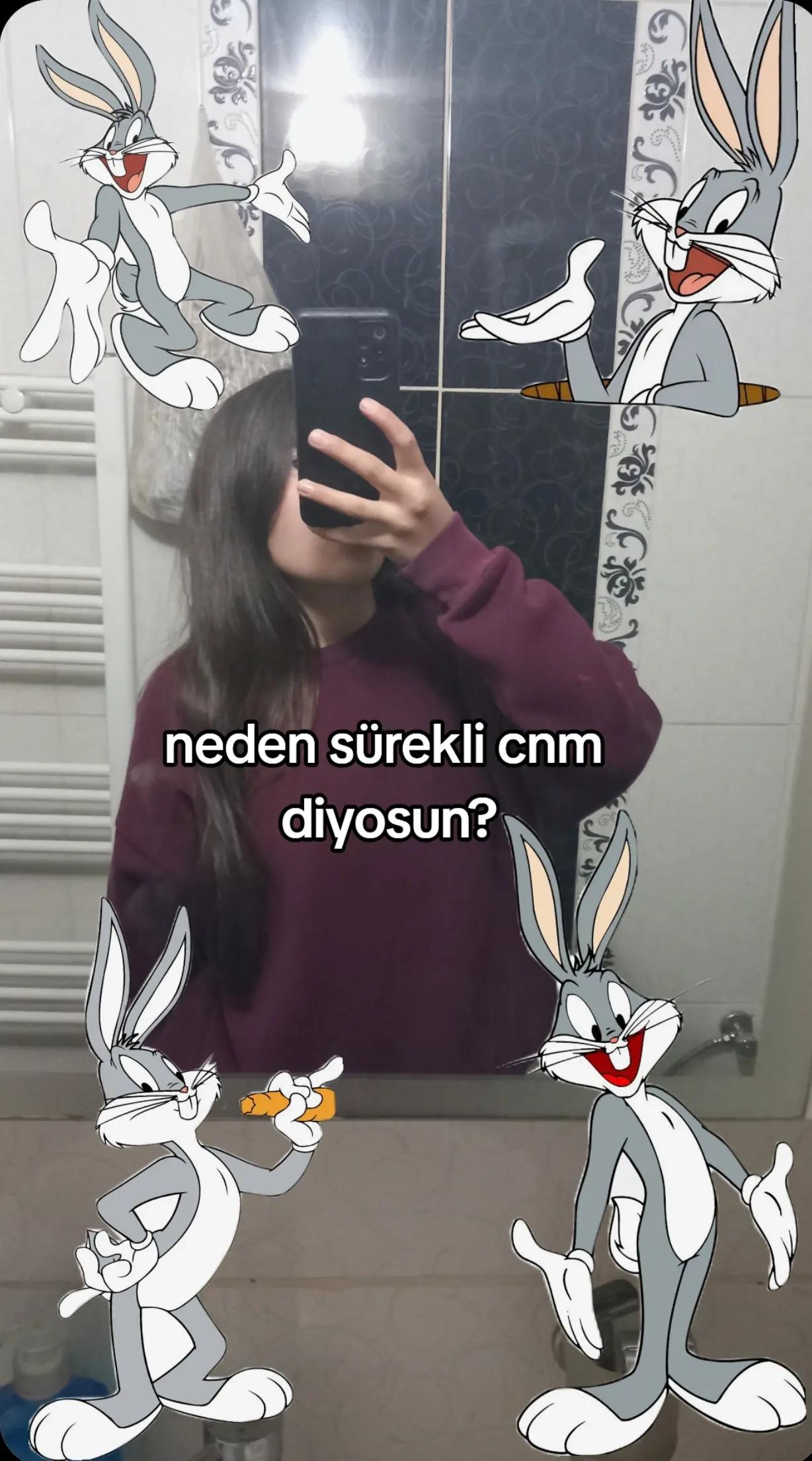@ayswnr