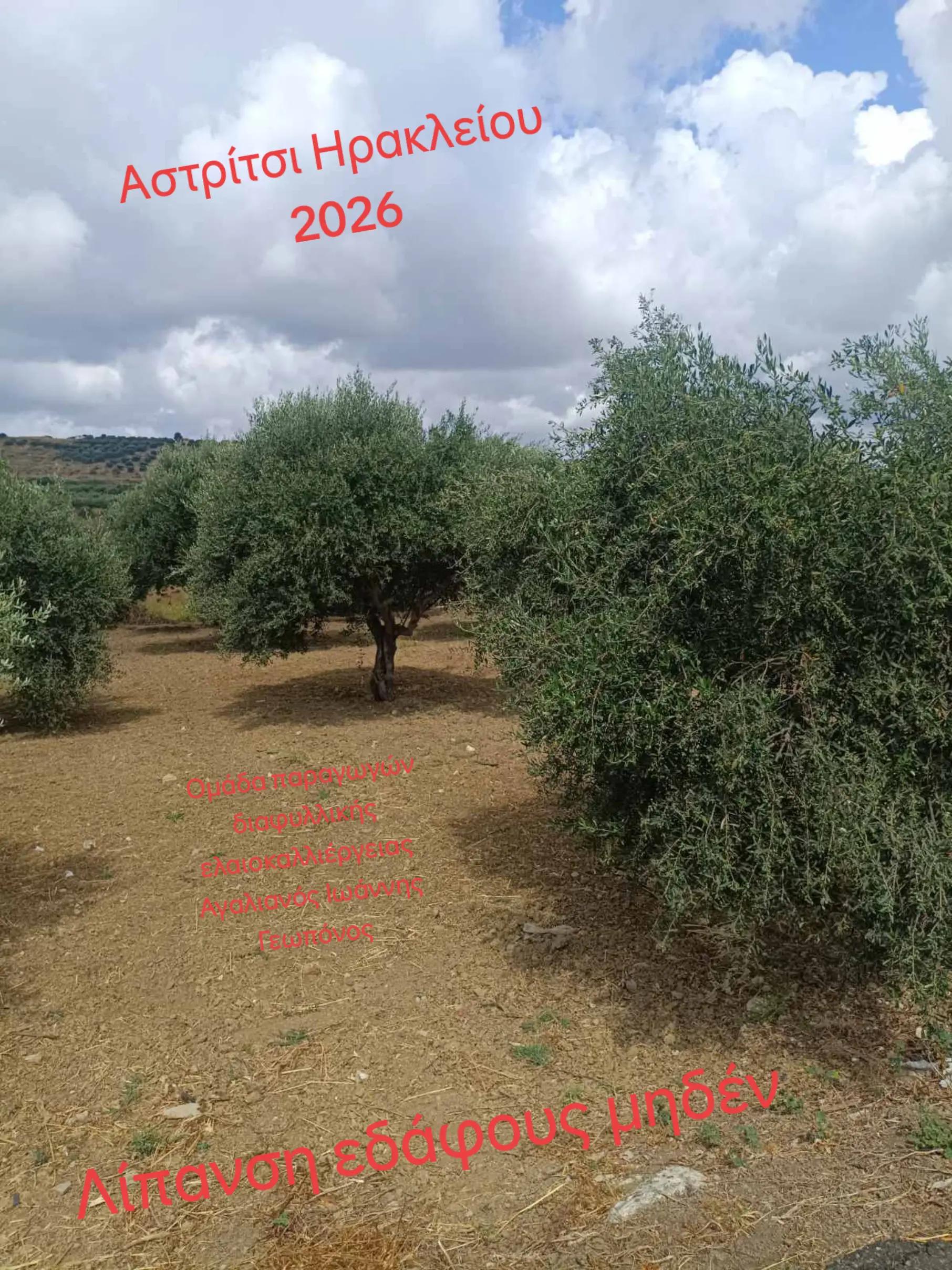 @&Alpha;&gamma;&alpha;&lambda;&iota;&alpha;&nu;ό&sigmaf; &Iota;&omega;ά&nu;&nu;&eta;&sigmaf; &Gamma;&epsilon;&omega;&pi;ό&nu;&omicron;&sigmaf;
