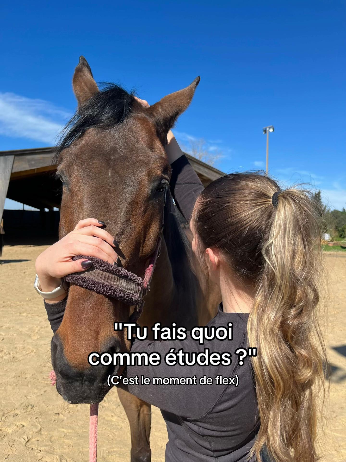 @Animae Ostéo