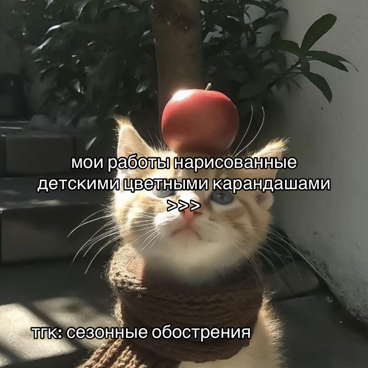 @rrrishkkkaa