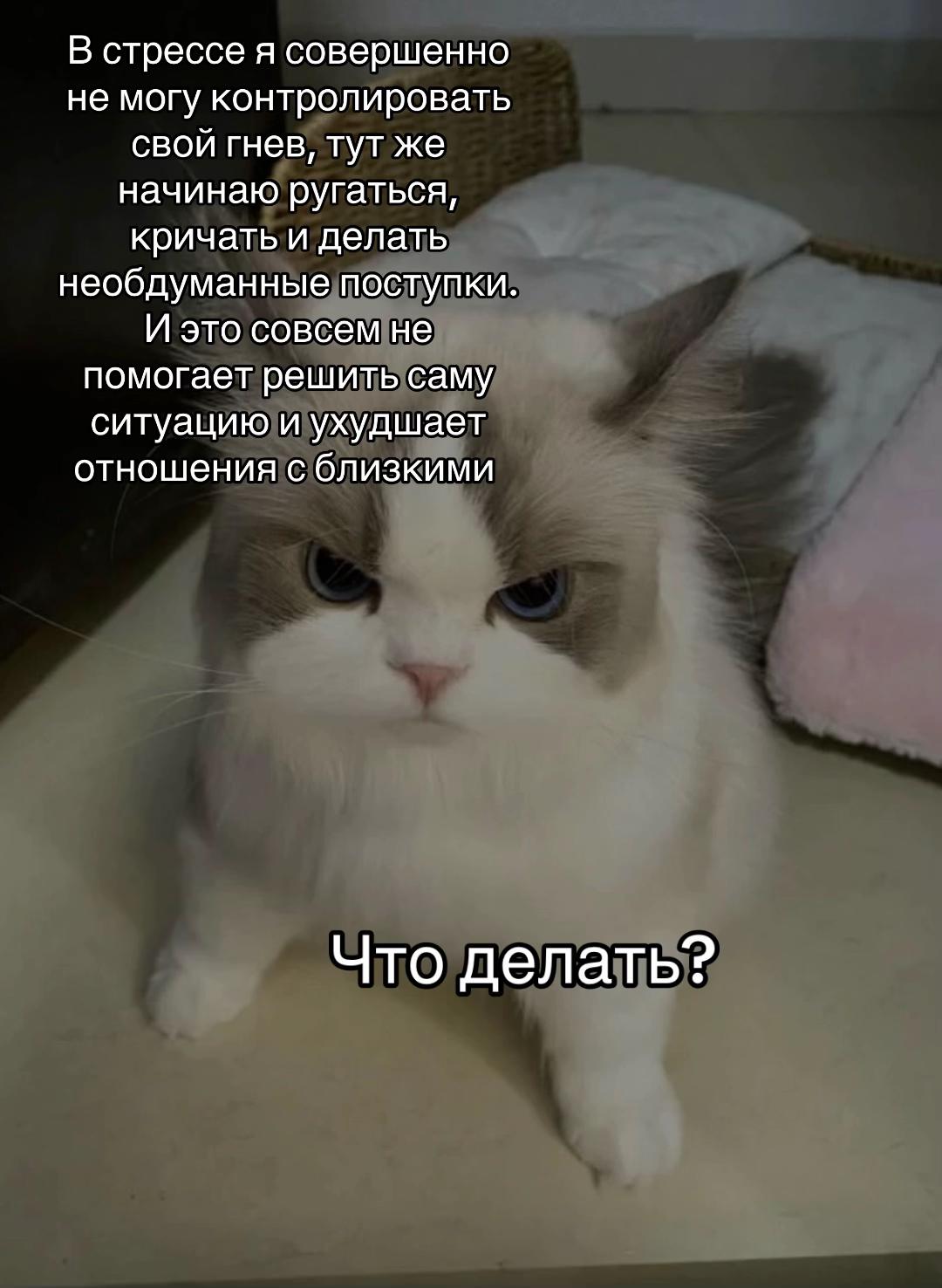@тгк: психология с марго
