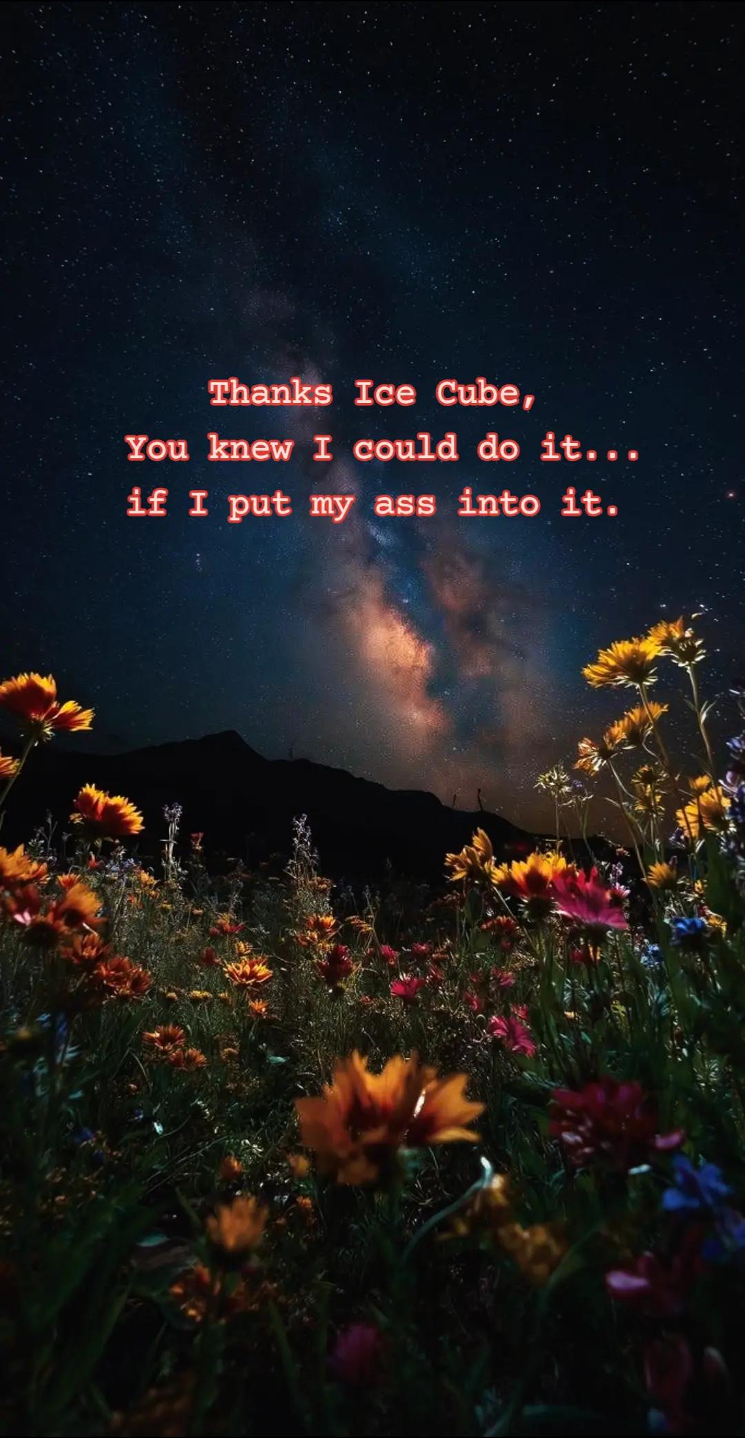 @🌵
