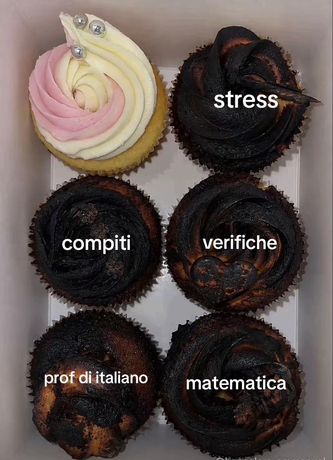 @𝓛𝓪𝓾𝓻𝓪