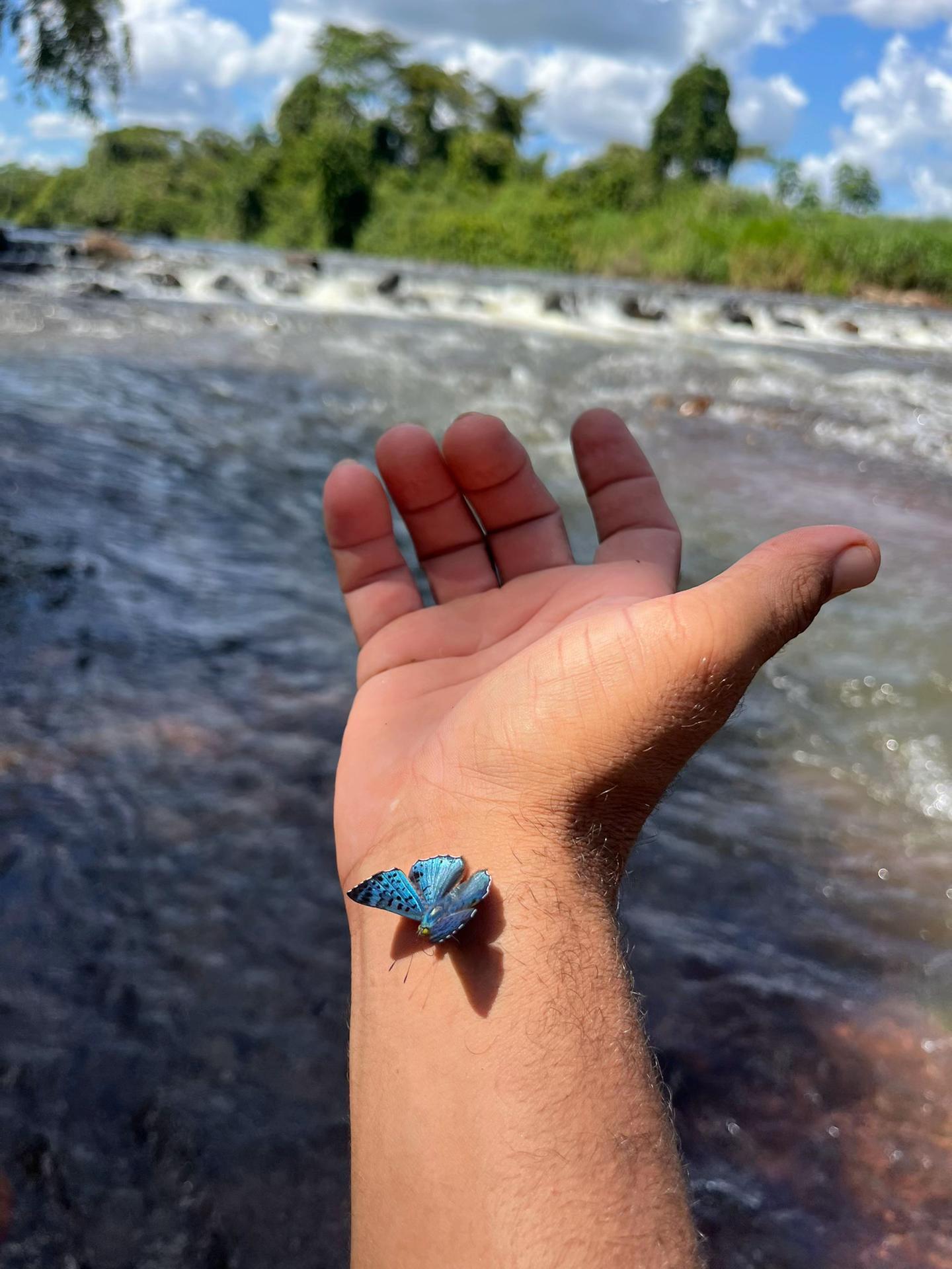 @Camaleão69🦎