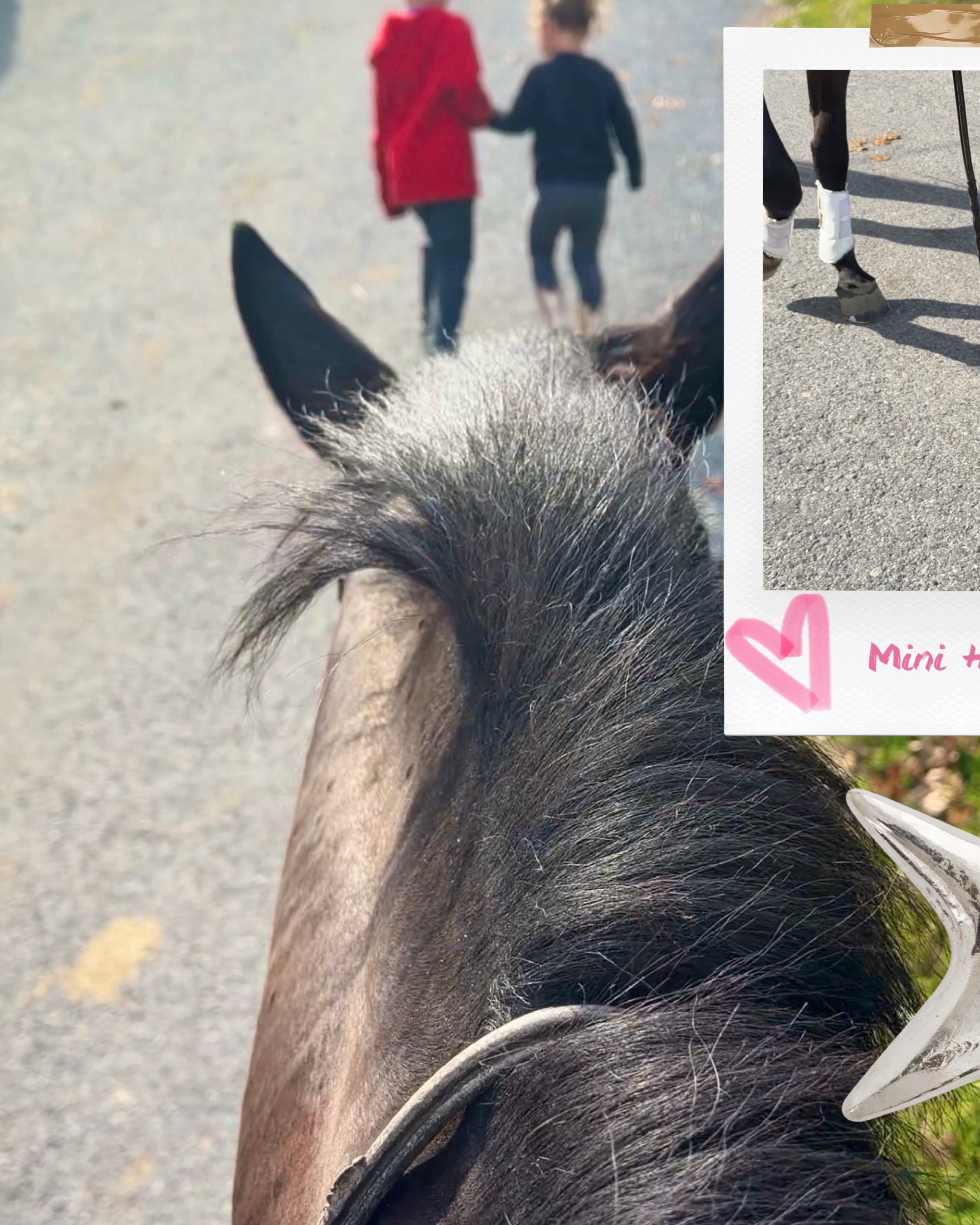 @Maria💜| Equestrian🦄