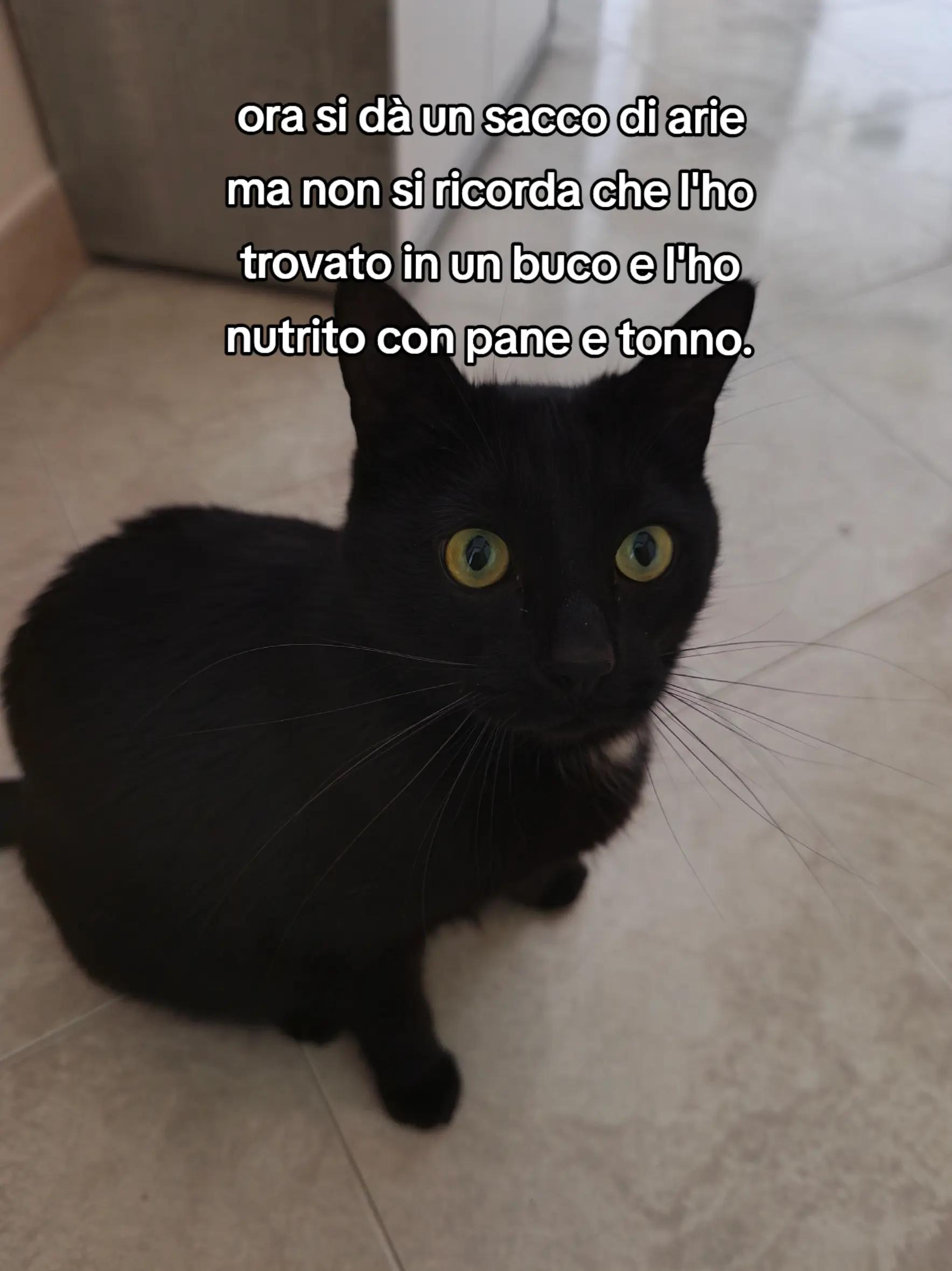 @Hotaru