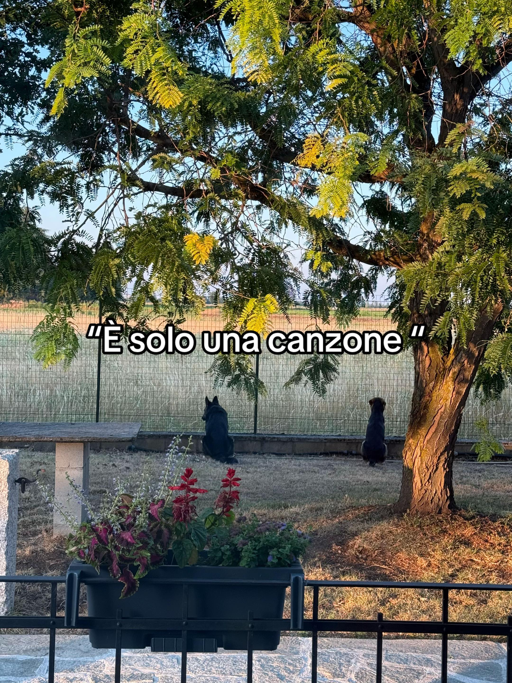 @vittoriabulliodranzon2002