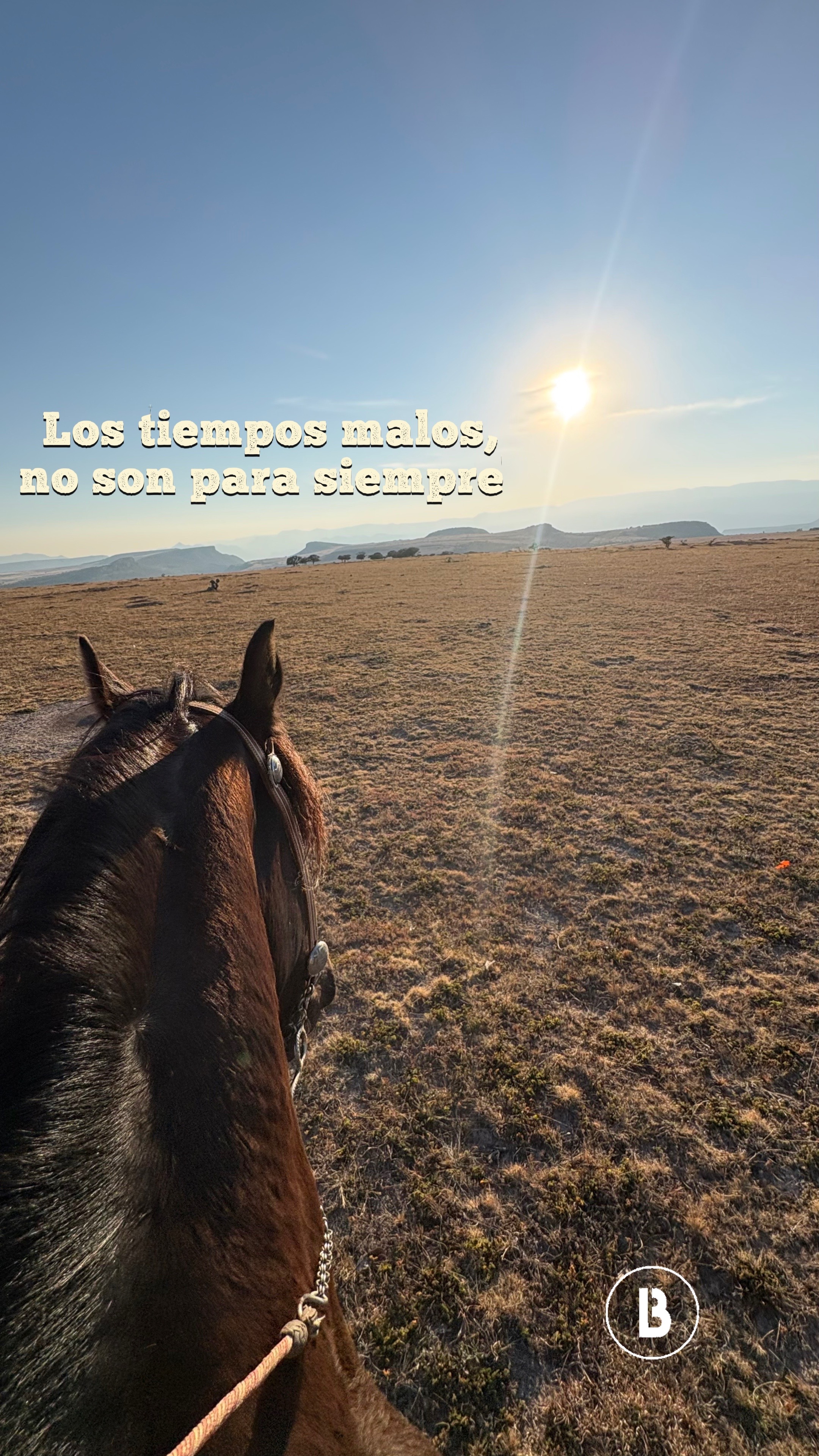 @El zurdo🌵🐴