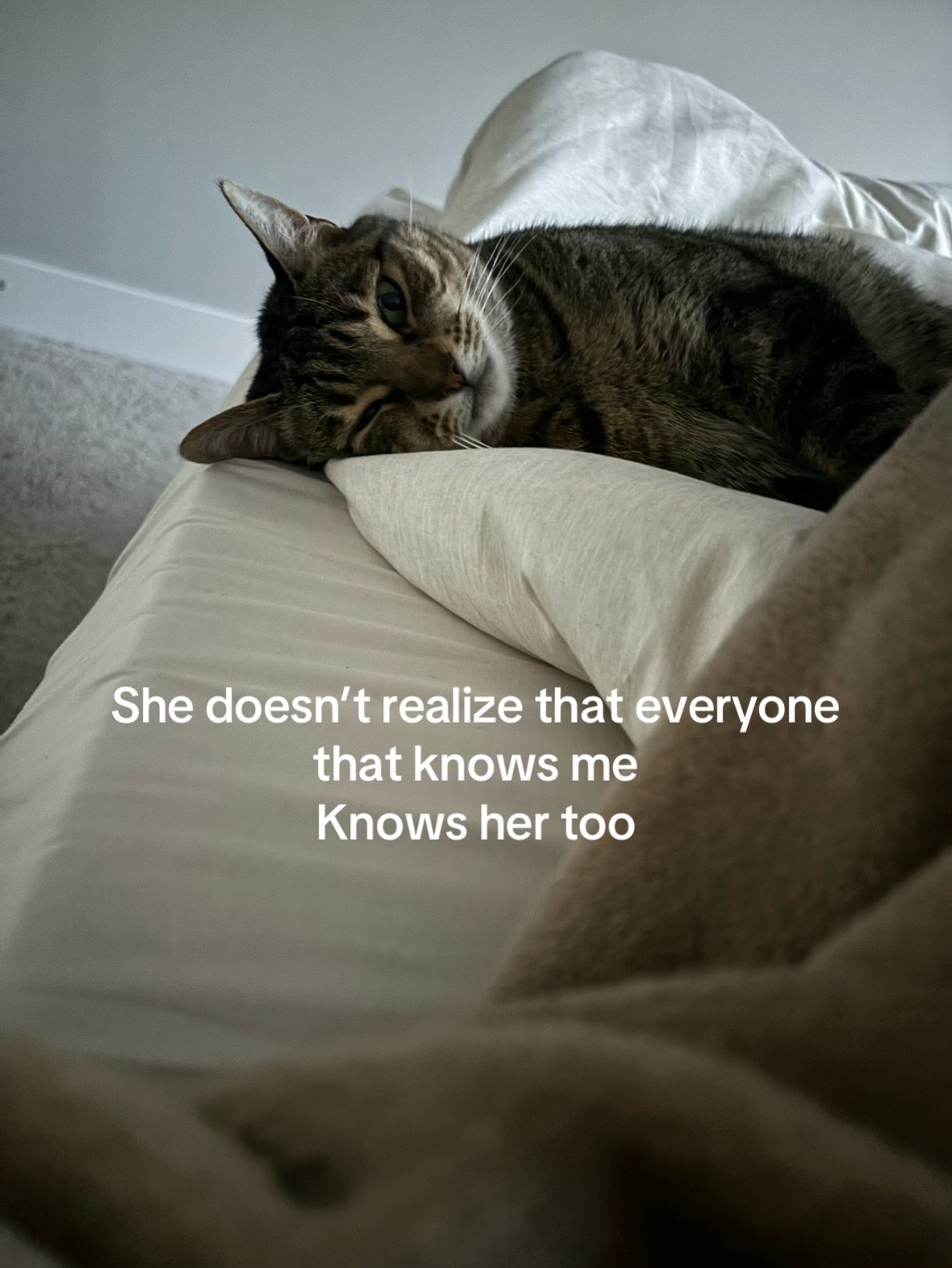 @Isabella 🧡