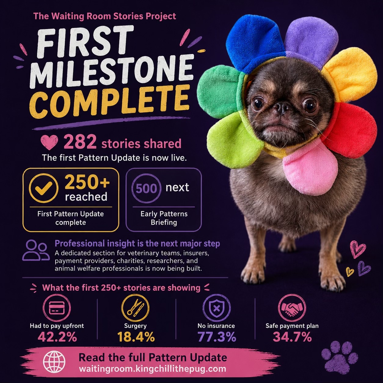 @ChilliThePug