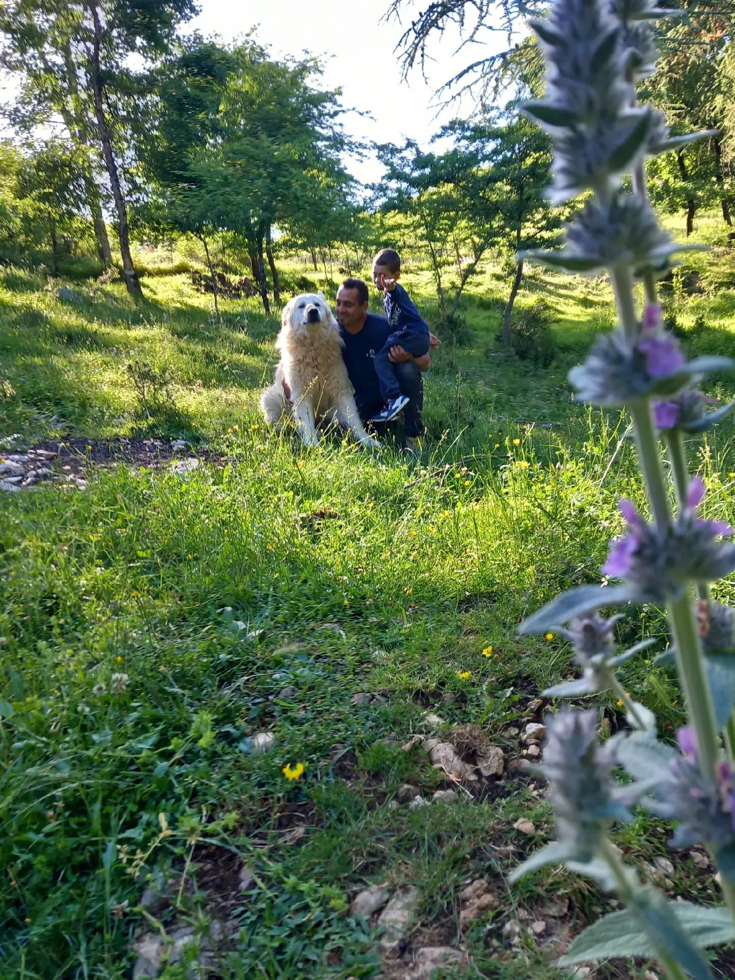 @Silvia Zmeu