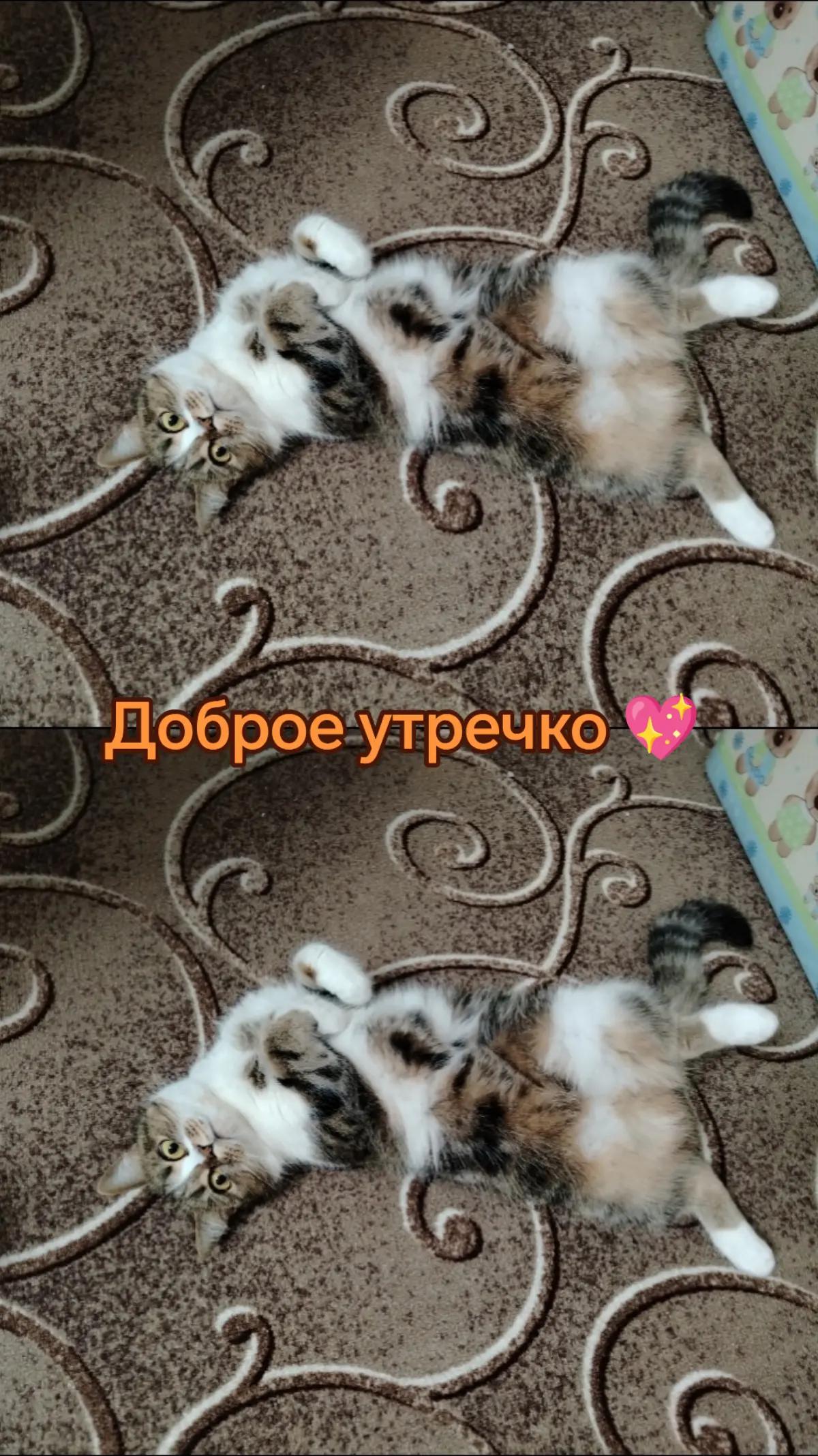 @&hearts;️МАЛЕНЬКАЯ &hearts;️