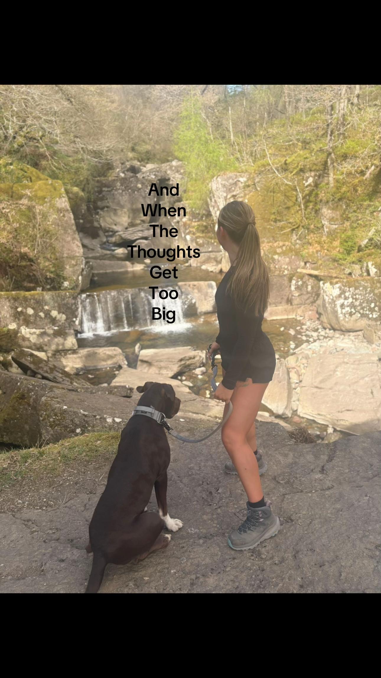 @Laila Irvine