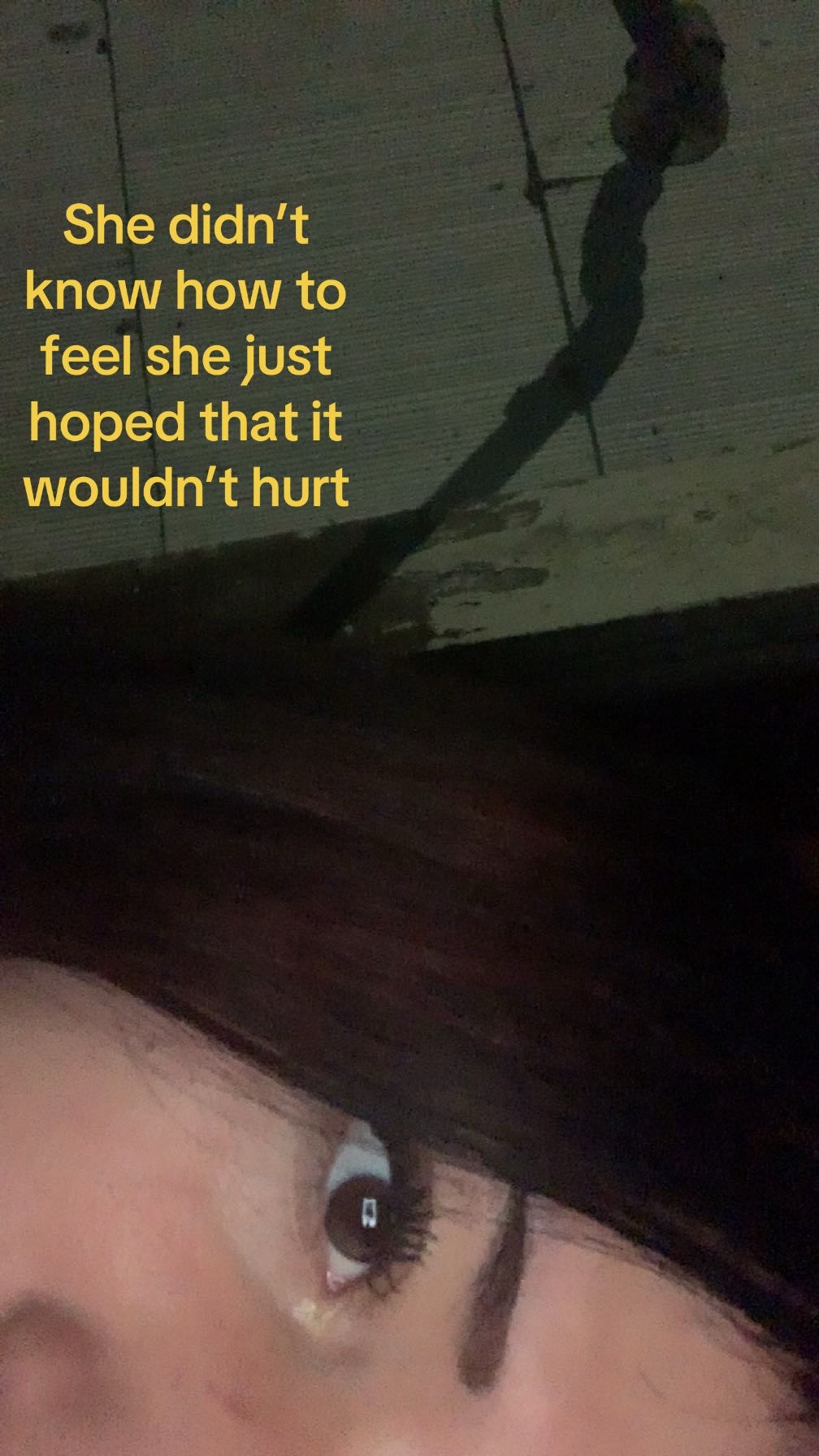 @𝙰𝚛𝚕𝚘 ≽^&bull;⩊&bull;^≼