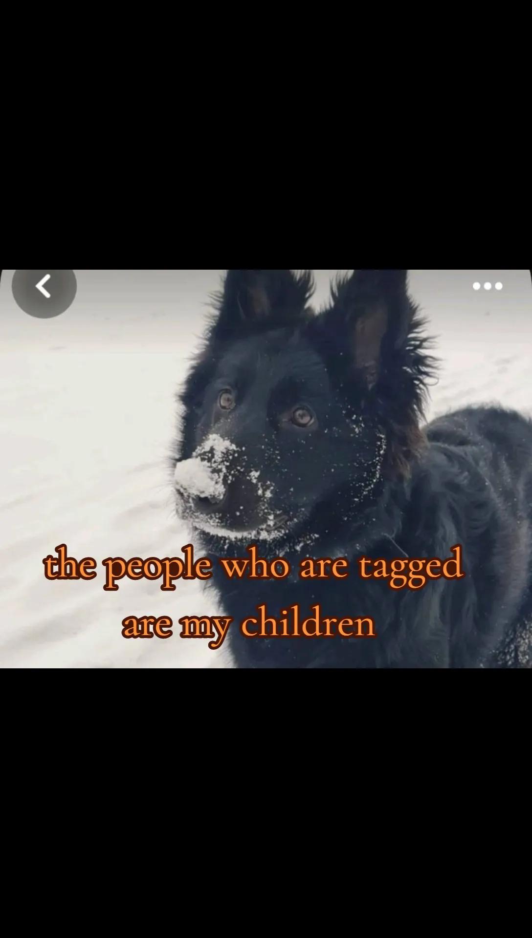 @🐾🌪️~Karma~🌪️🐾