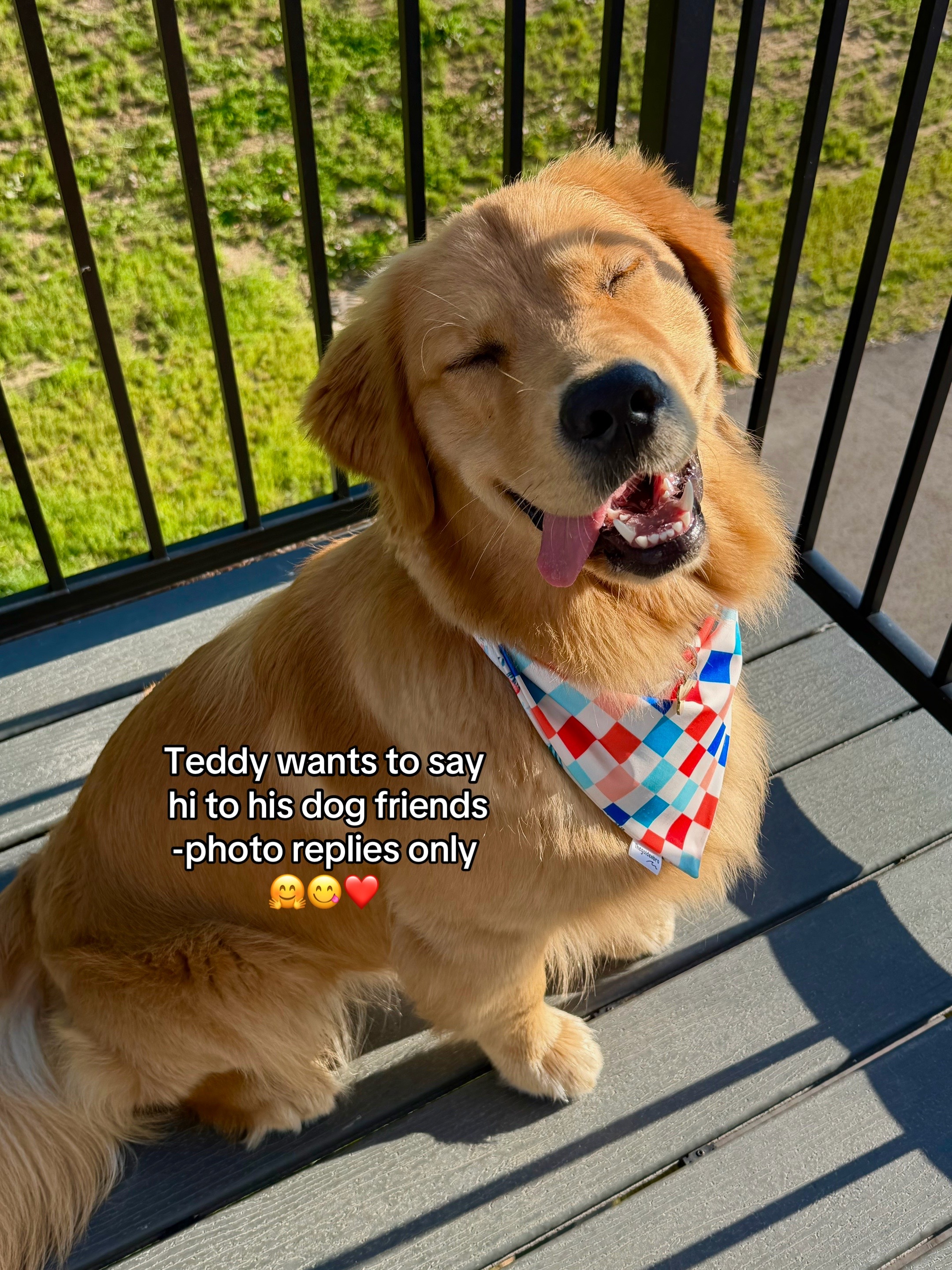 @Teddy🧸
