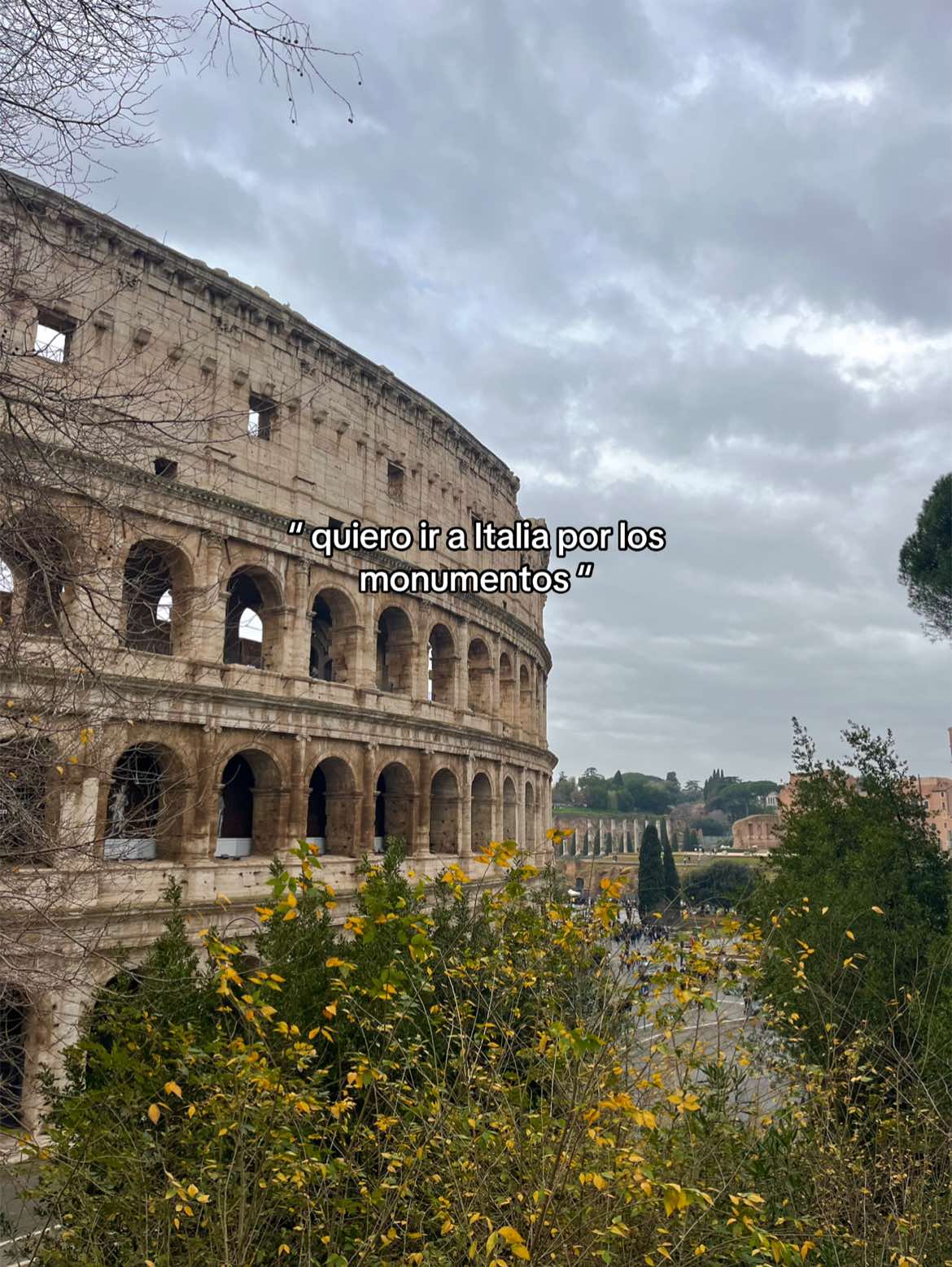 @eva 🥨