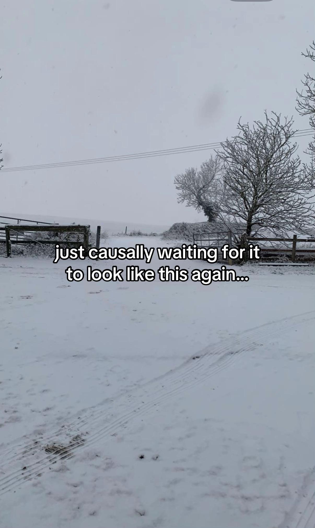 @𝒸𝑜𝓊𝓇𝓉𝓃𝑒𝓎