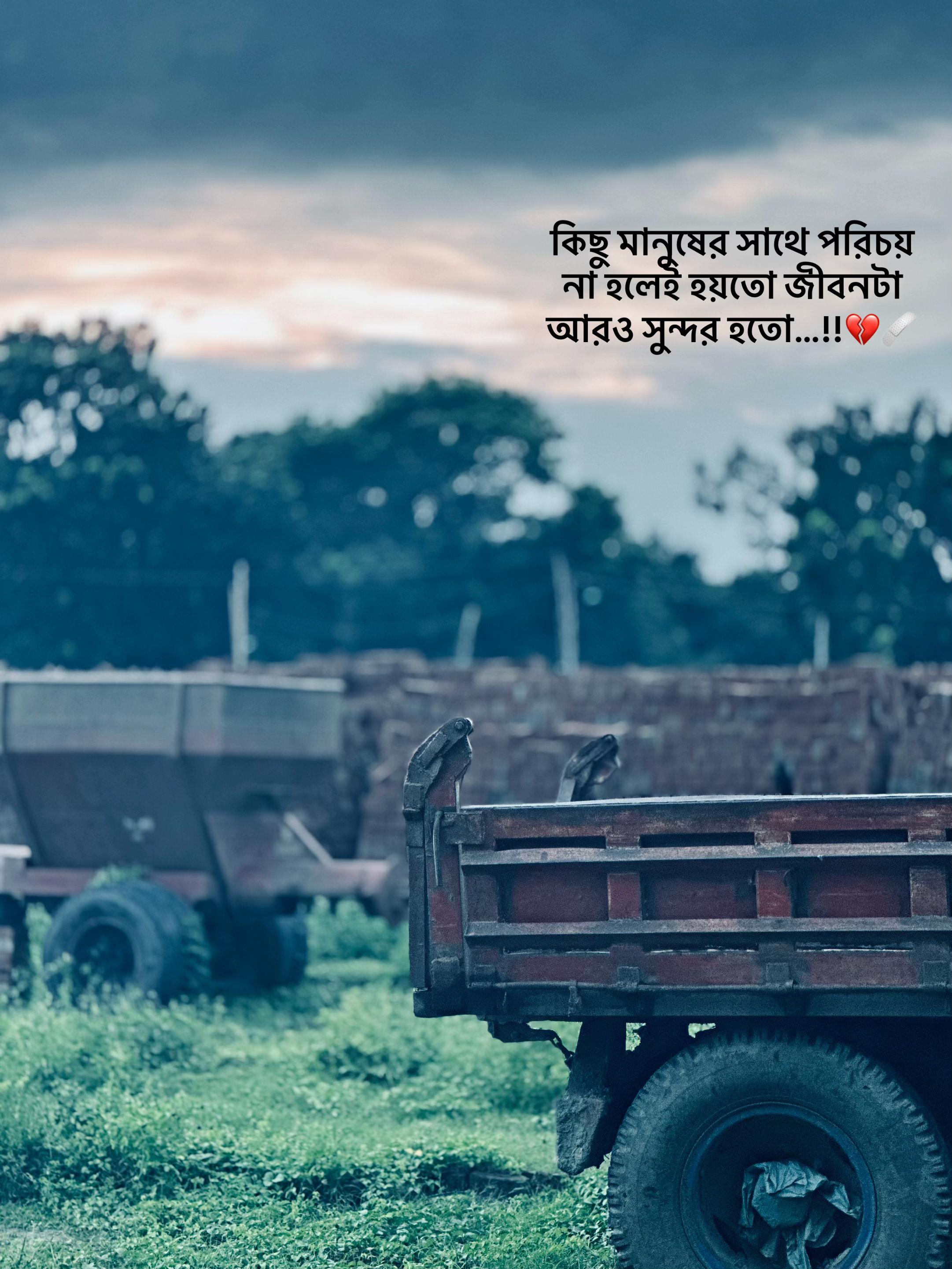 @উল্লাস:)🕊️⚰️