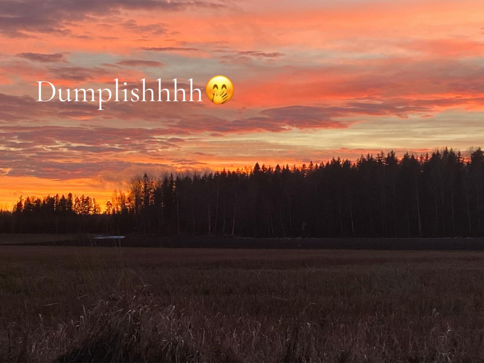 @🇸🇪𝓢𝓿𝓮𝓪 𝓞𝓵𝓼𝓼𝓸𝓷🇸🇪