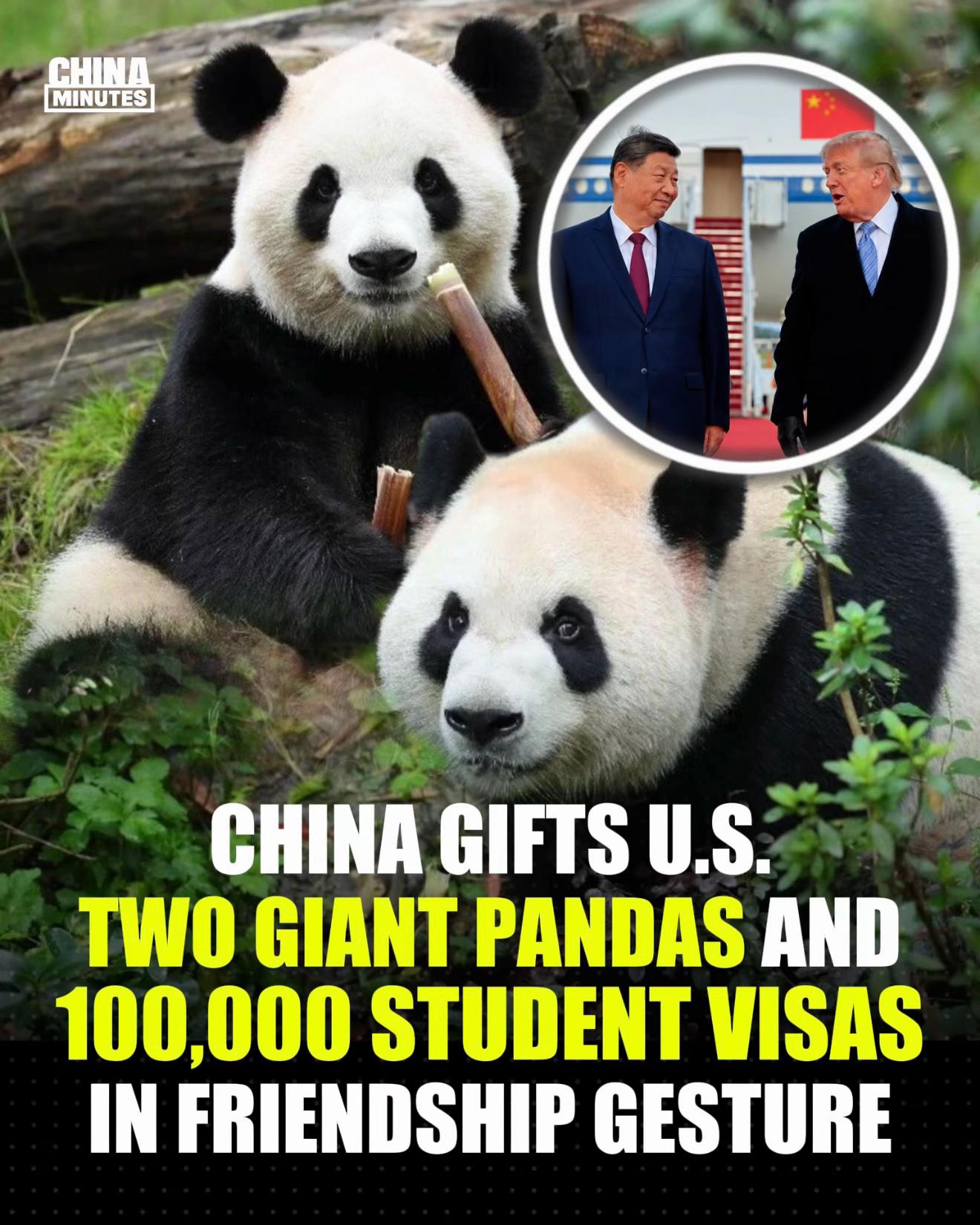 @China Minutes