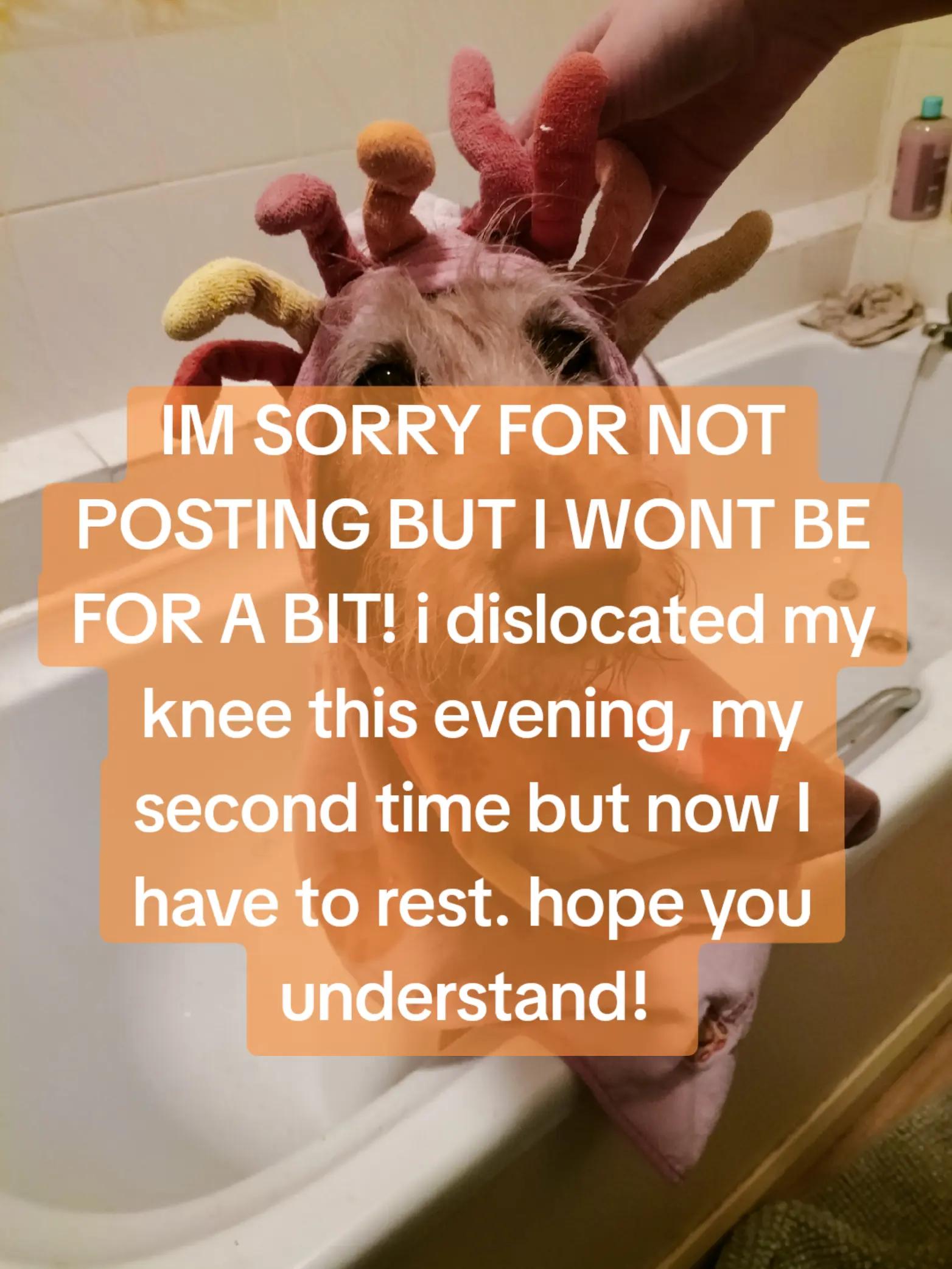@𓃠✰𝒪𝓉𝓉ℴ𝓏𝒫𝒶𝓰ℯ✰𓃠