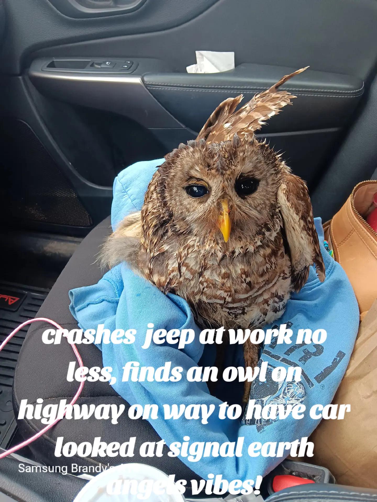 @gypsyeyes2cu