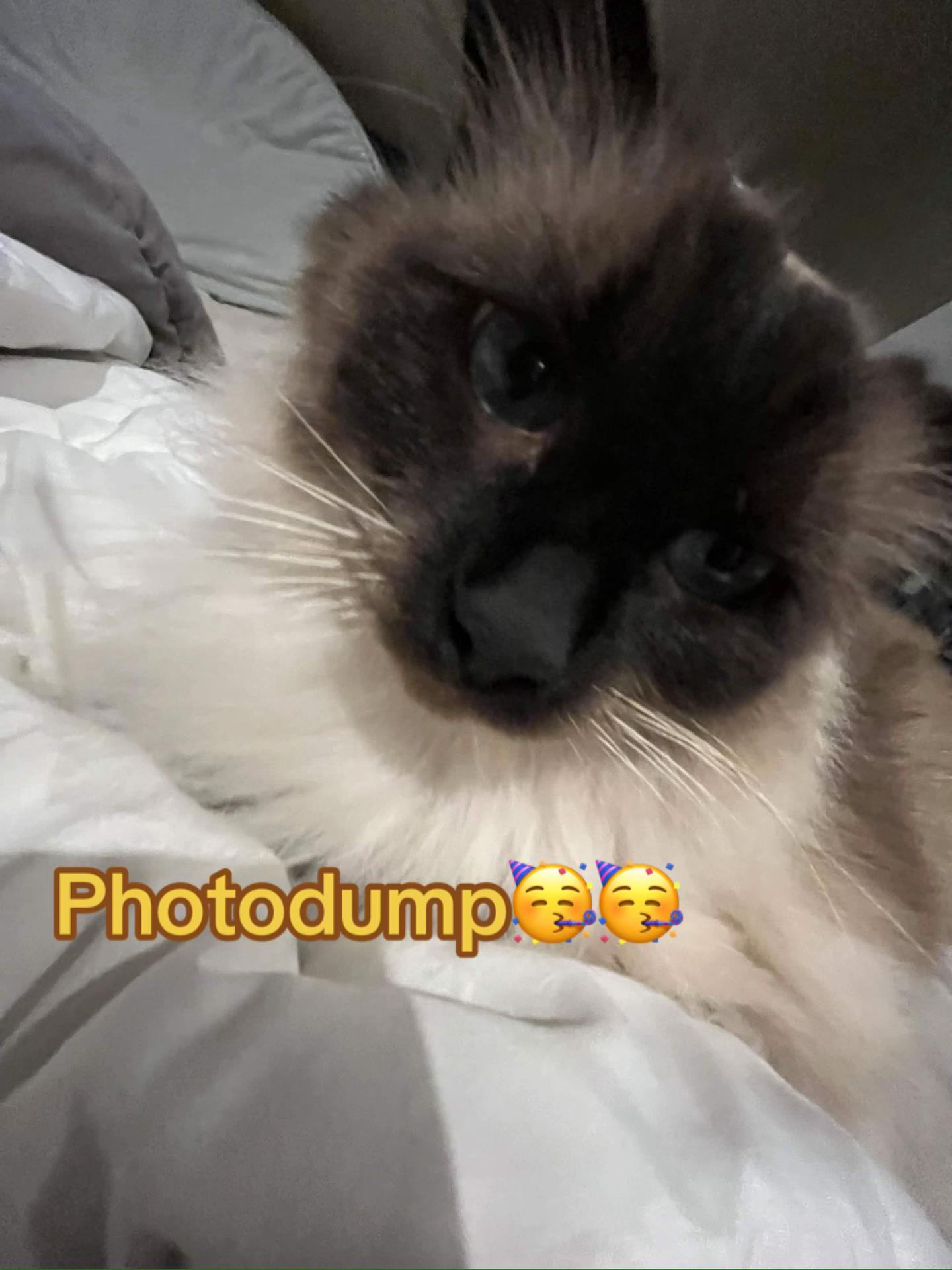 @ꜰᴀʏᴇ 🕯️ ♬·¯·♩¸¸♪