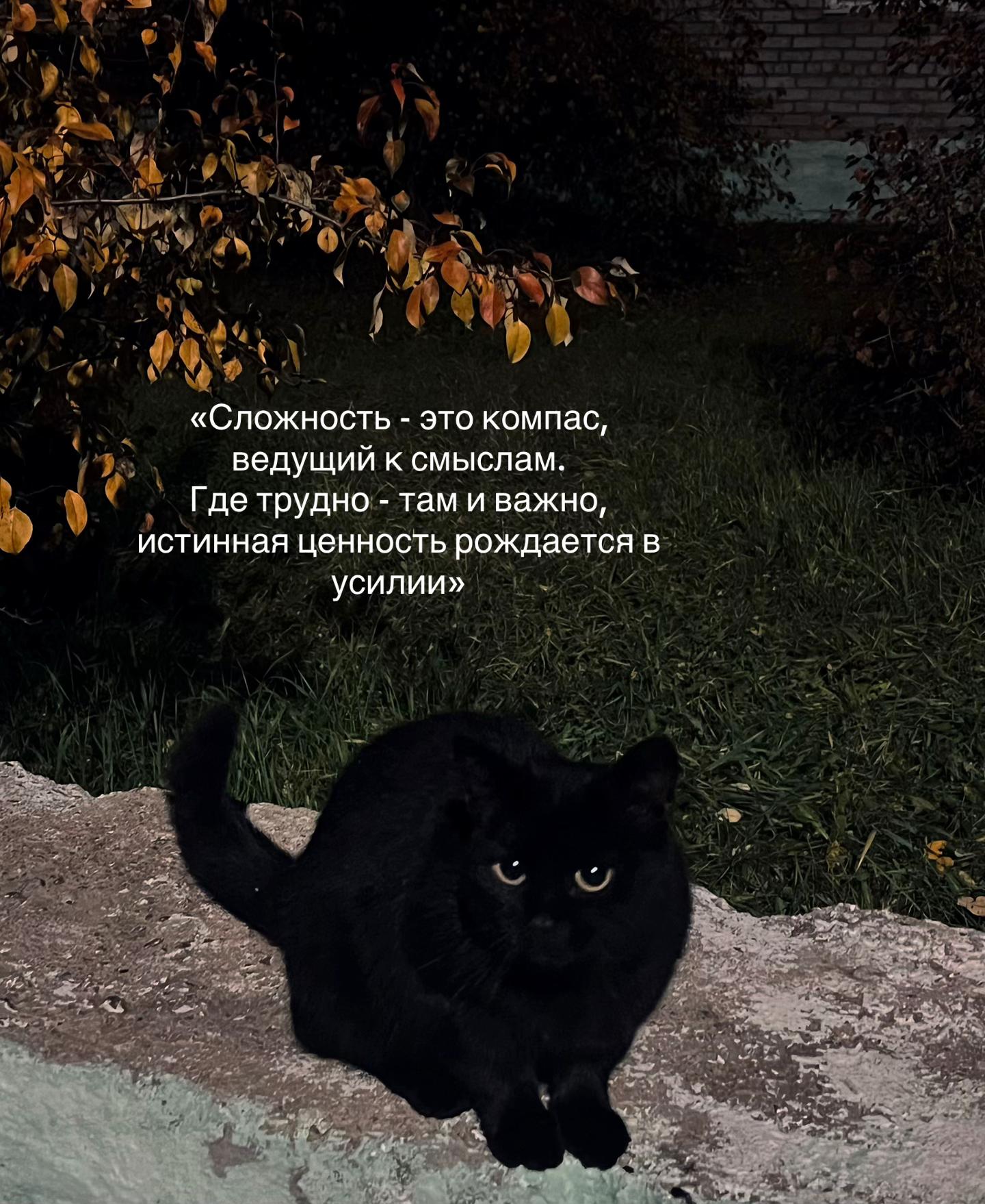 @Алёнка