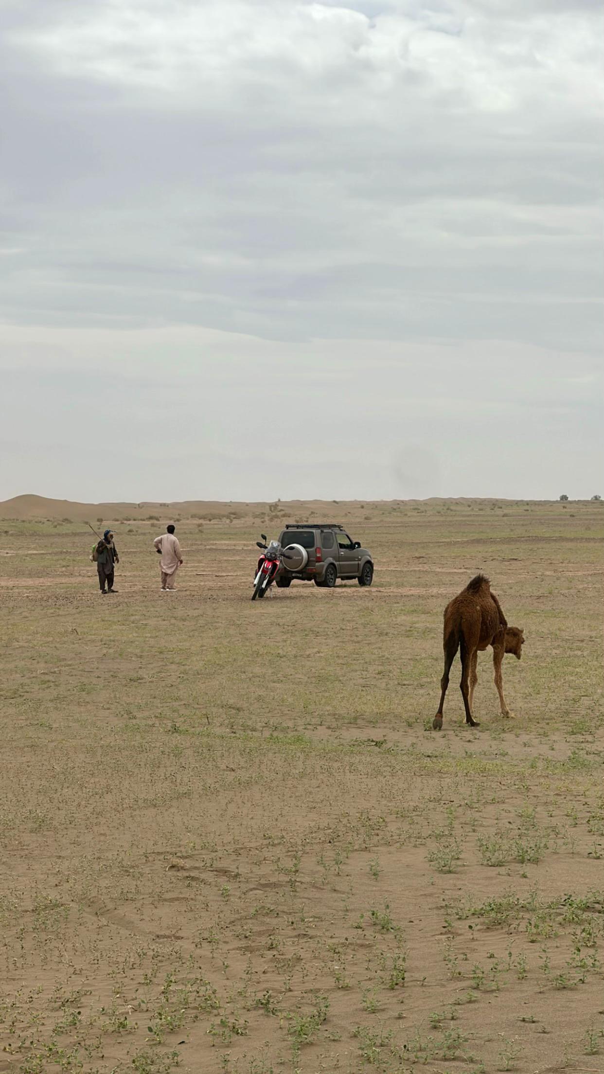 @بلوچستان عشق است 🐪🏜️🪶