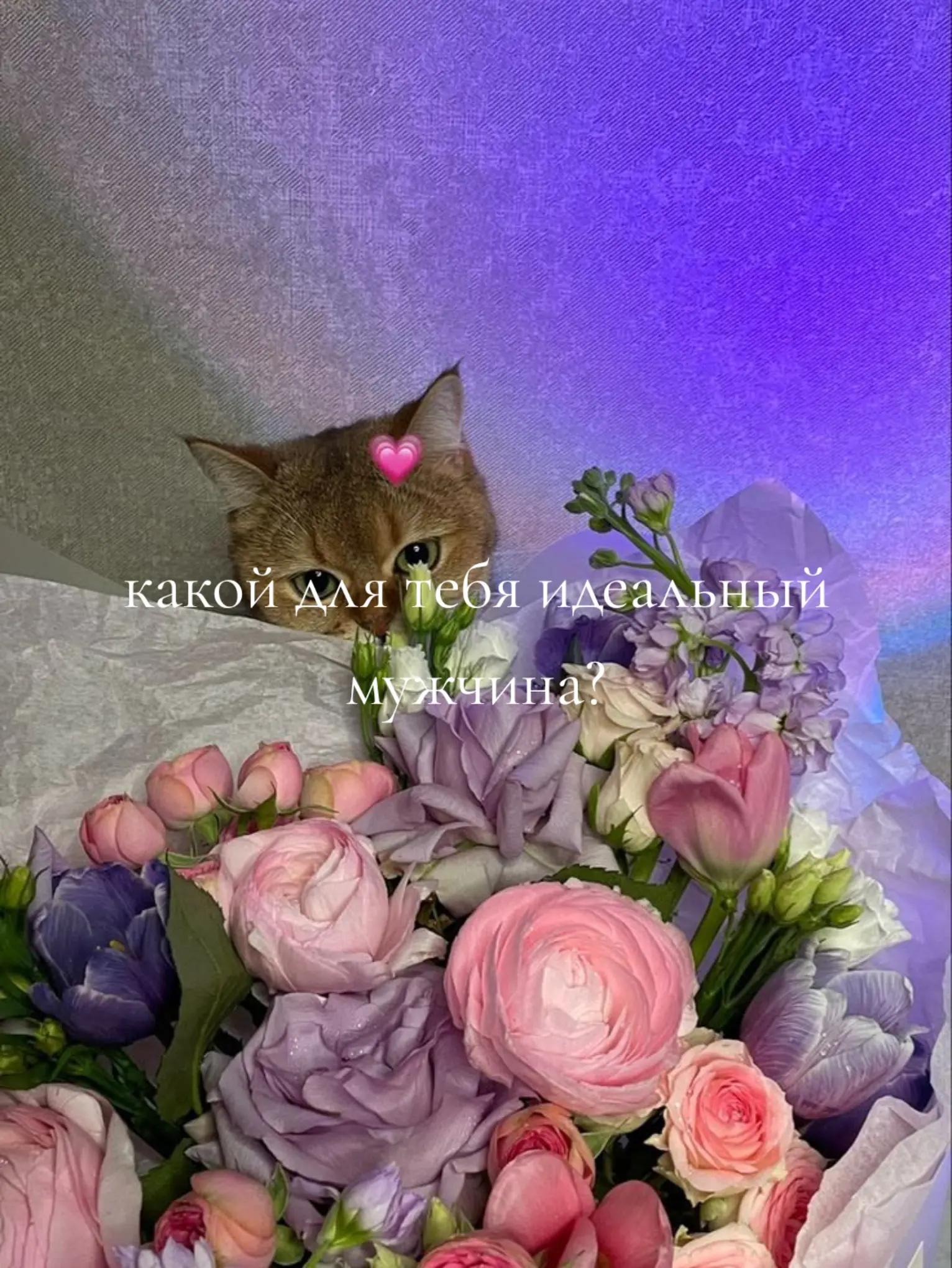 @здесь грустно