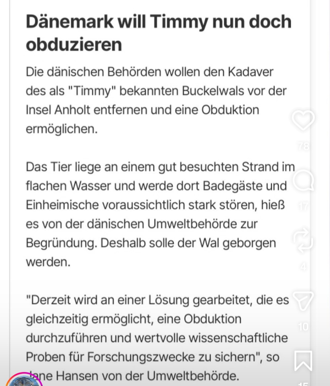 @Stimme des Meeres💙