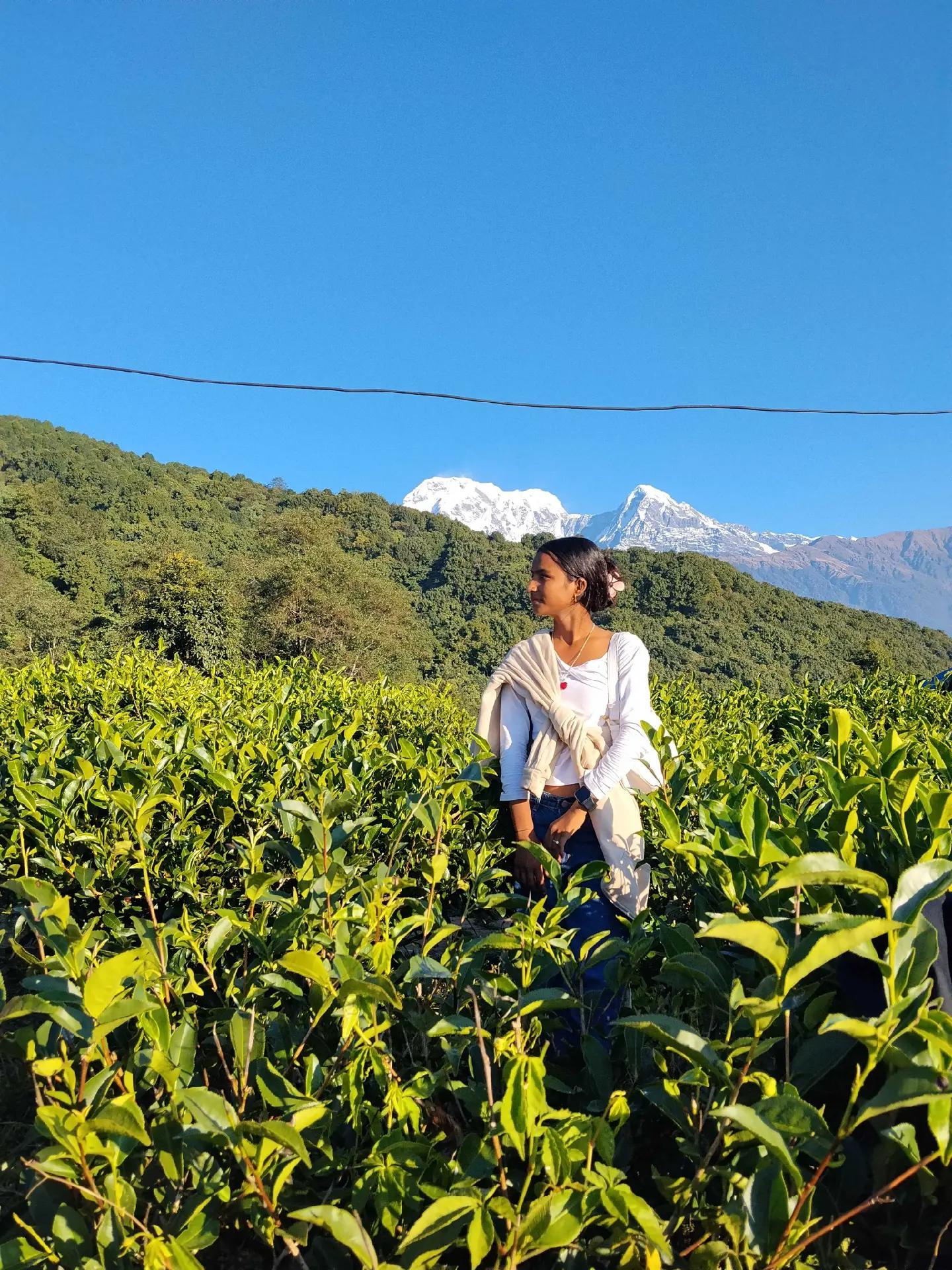 @चाँदनी 🌜