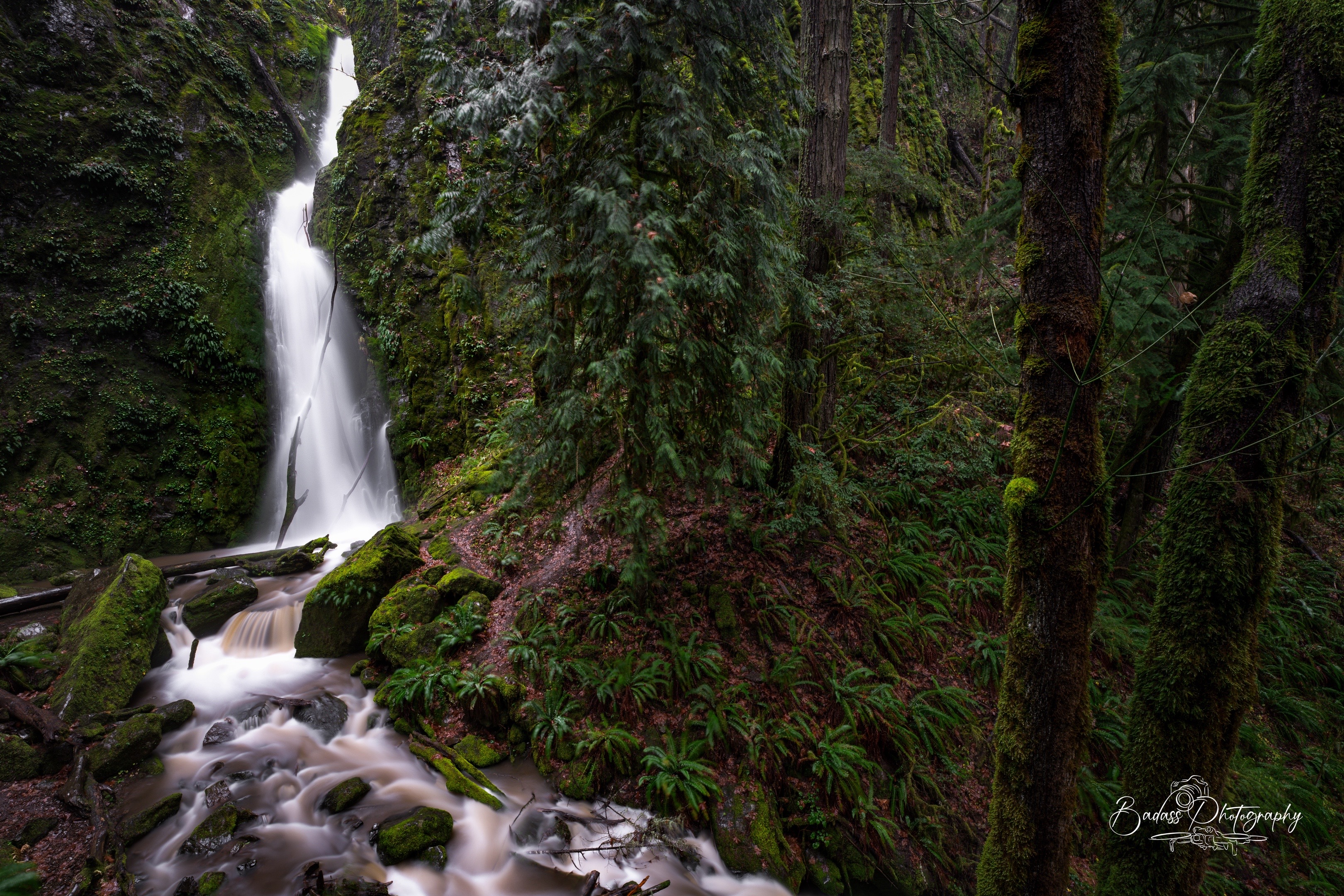 @Badassphotography_PNW