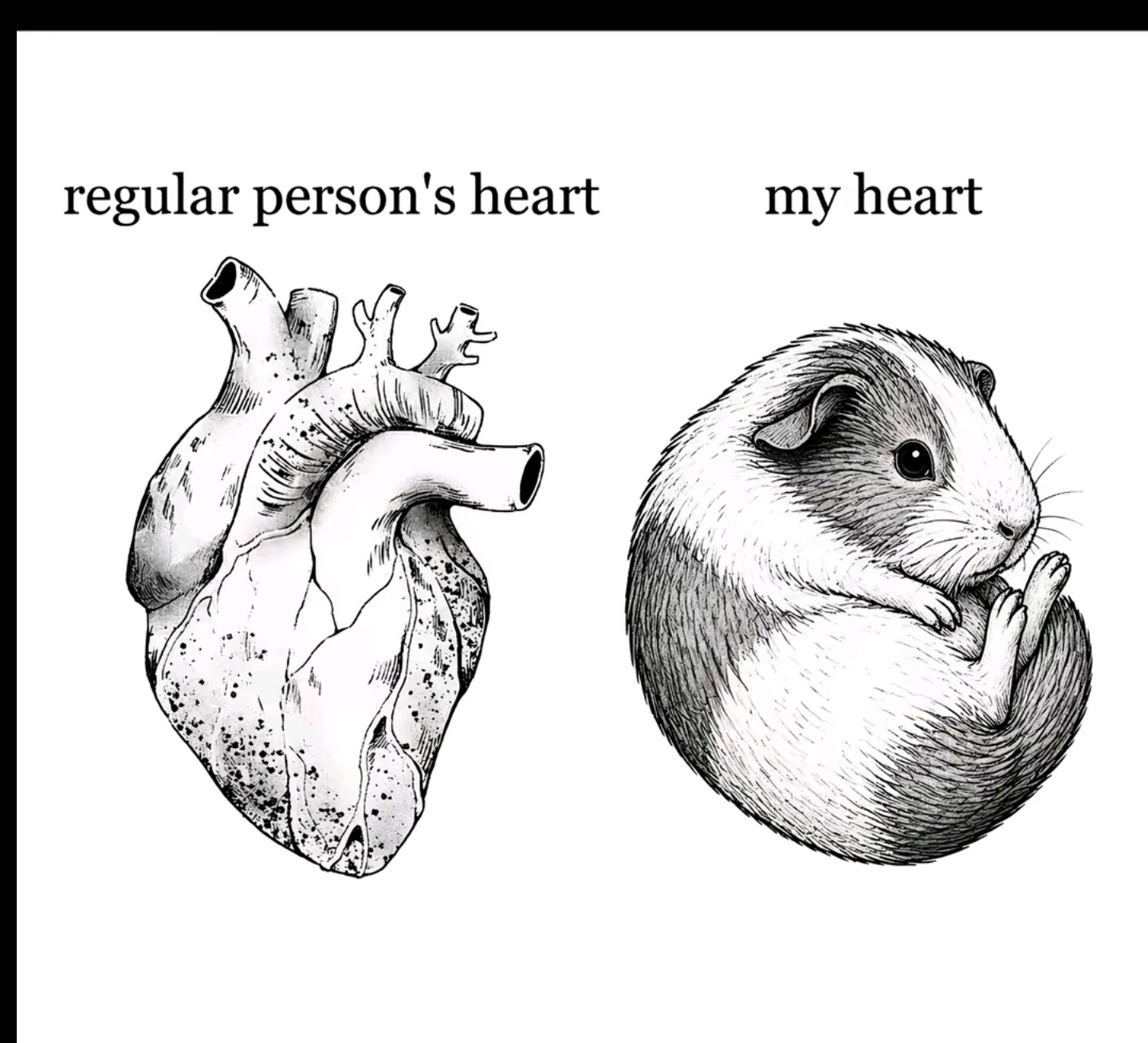 @Ryan